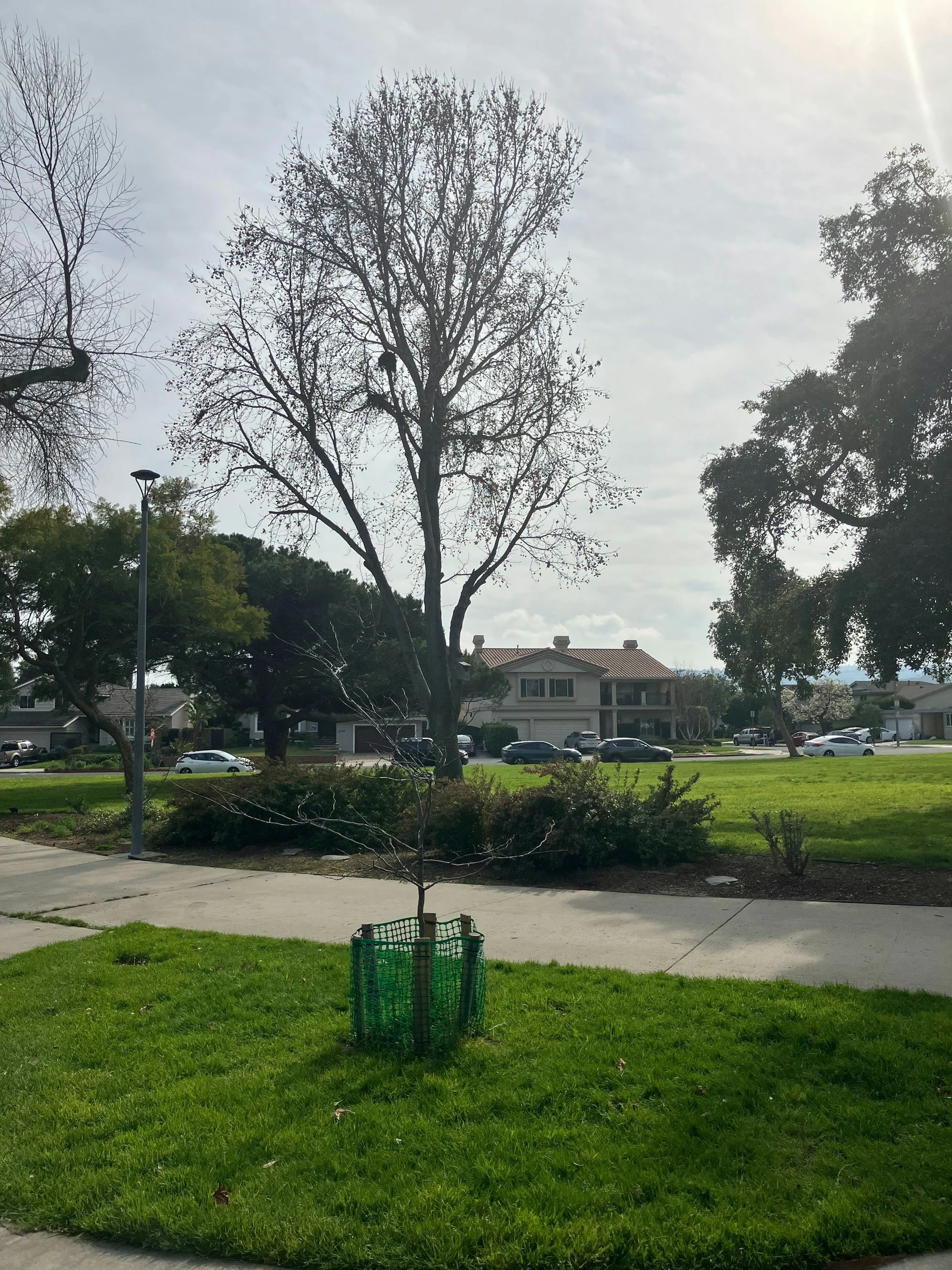 Top Residential Landscaping Companies in Gaithersburg, MD – 2025 Guide