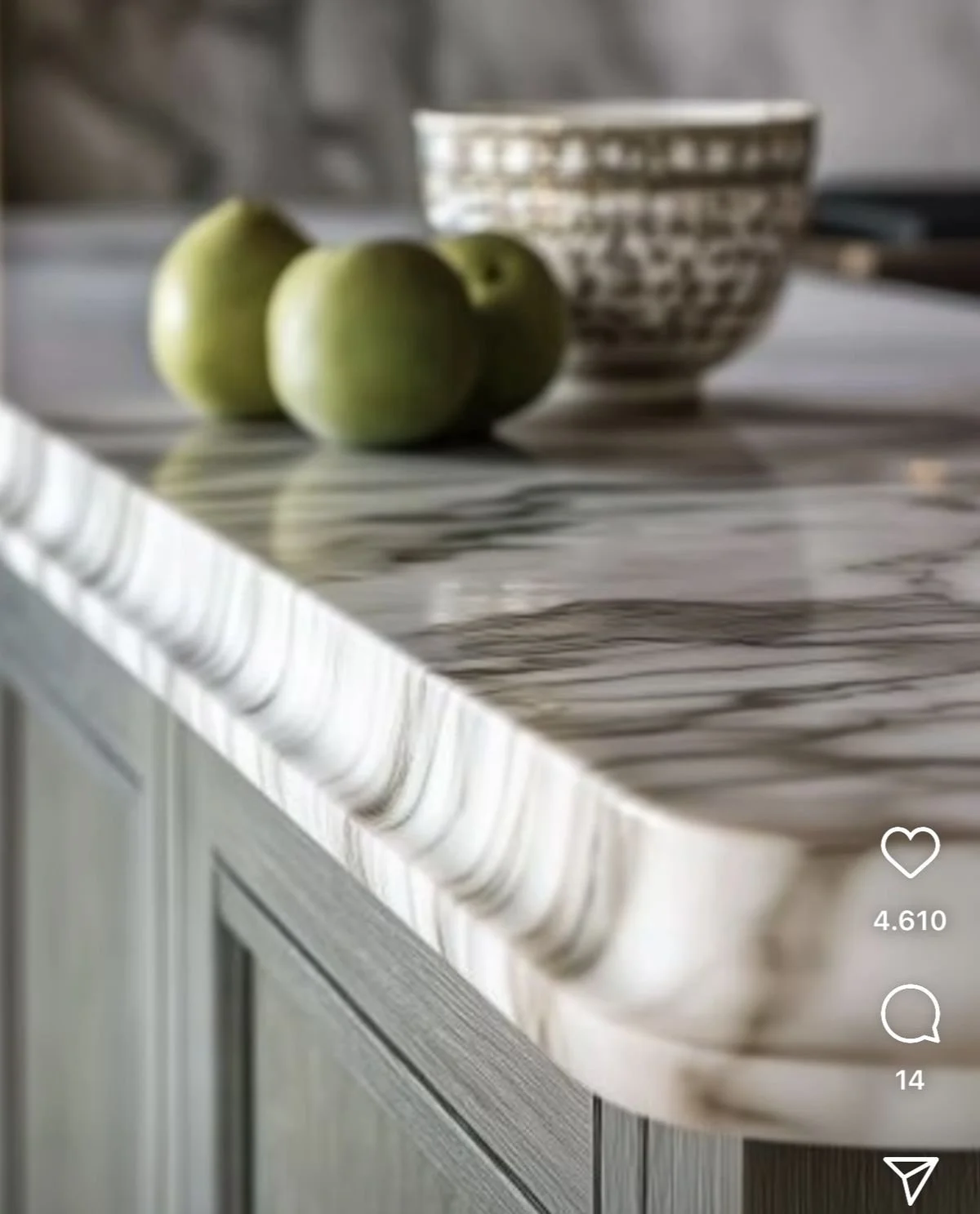 interior_design_kitchen_counter_edge_ogee_4.jpg