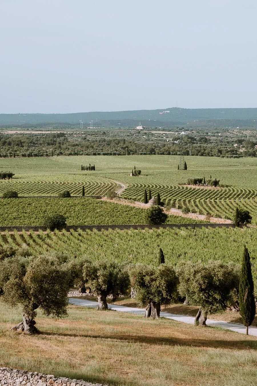 puglia.jpg