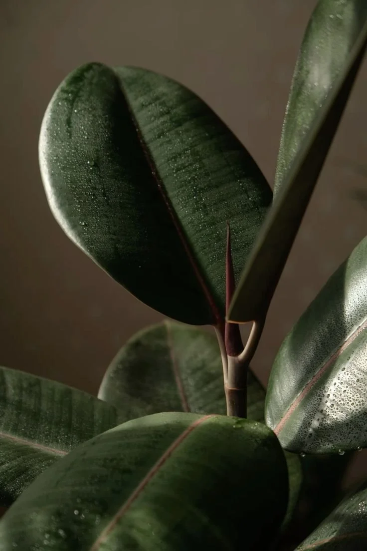 plants_interior_details_materials.jpg