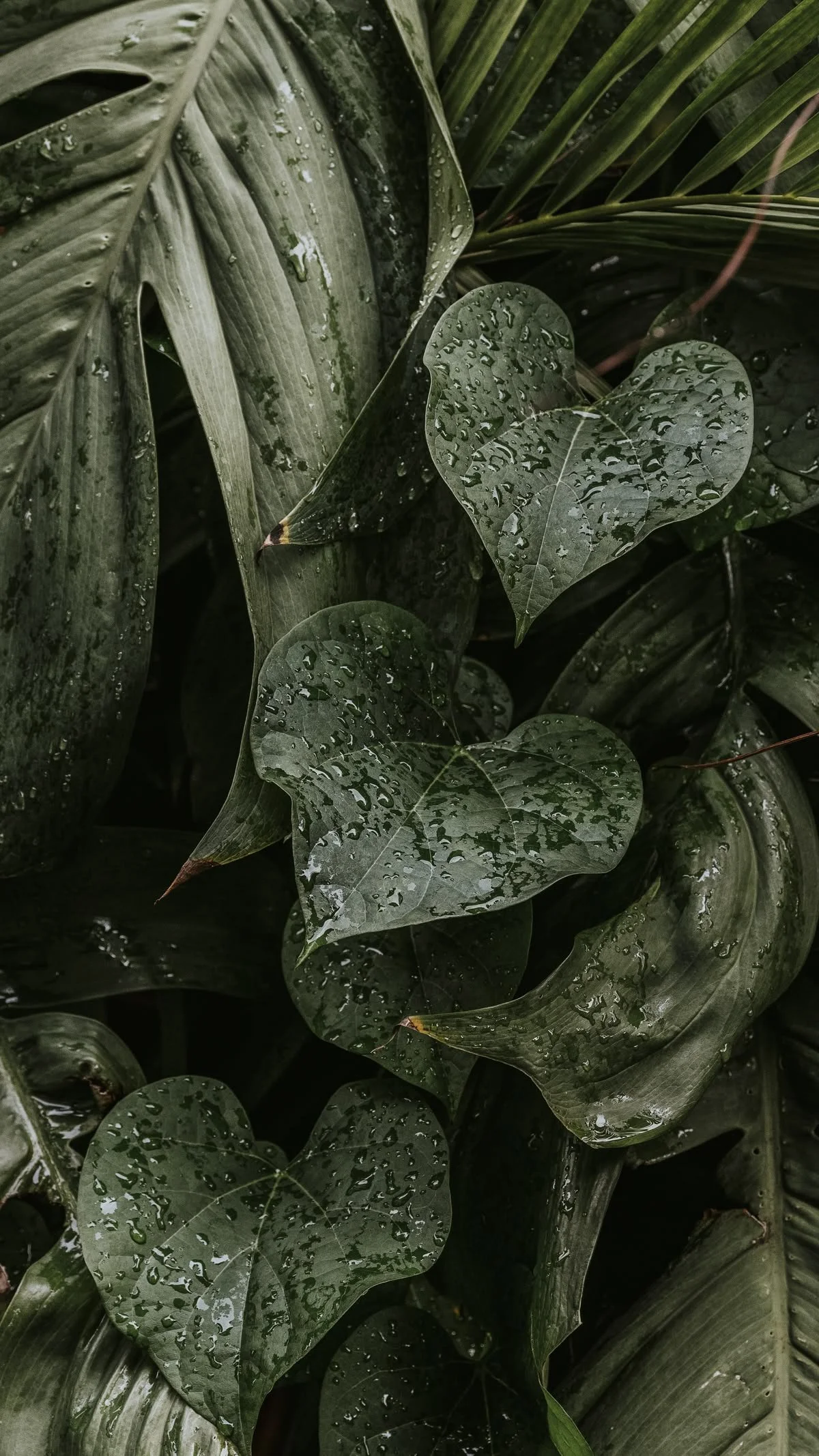 plants_interior_details_materials2.jpg