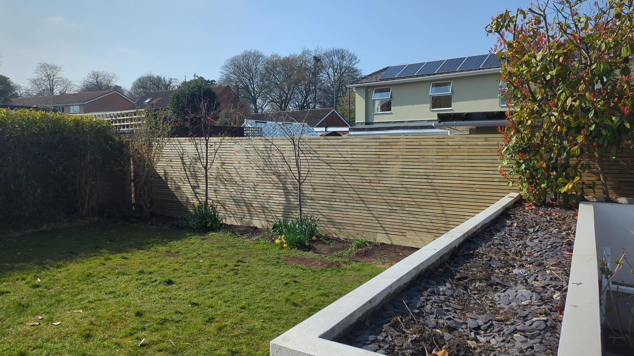A backyard garden with a recently installed horizontal wooden privacy fence, three small trees with budding leaves, flower beds, and a grassy lawn, with a house with solar panels on the roof in the background.