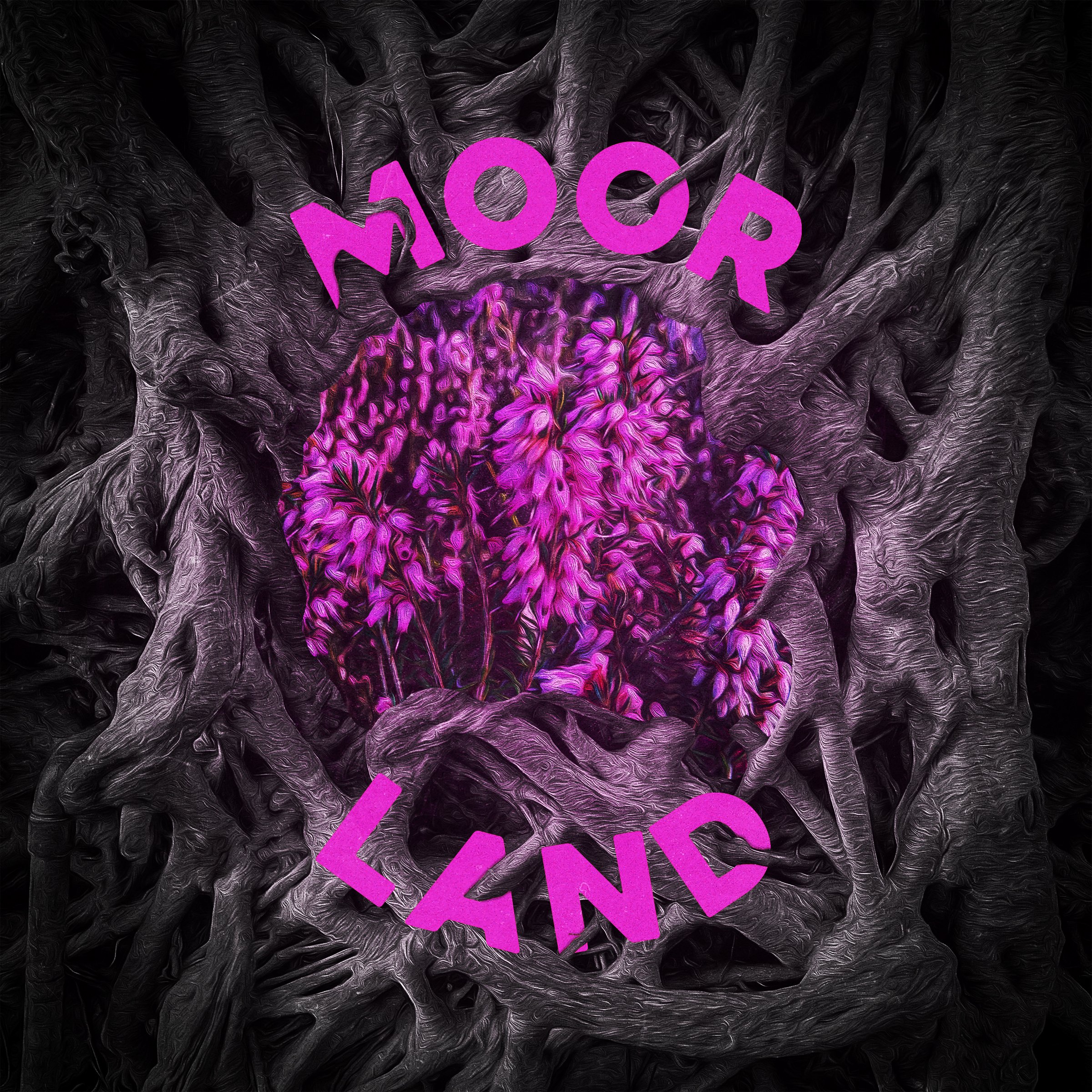 Moorland export.jpg