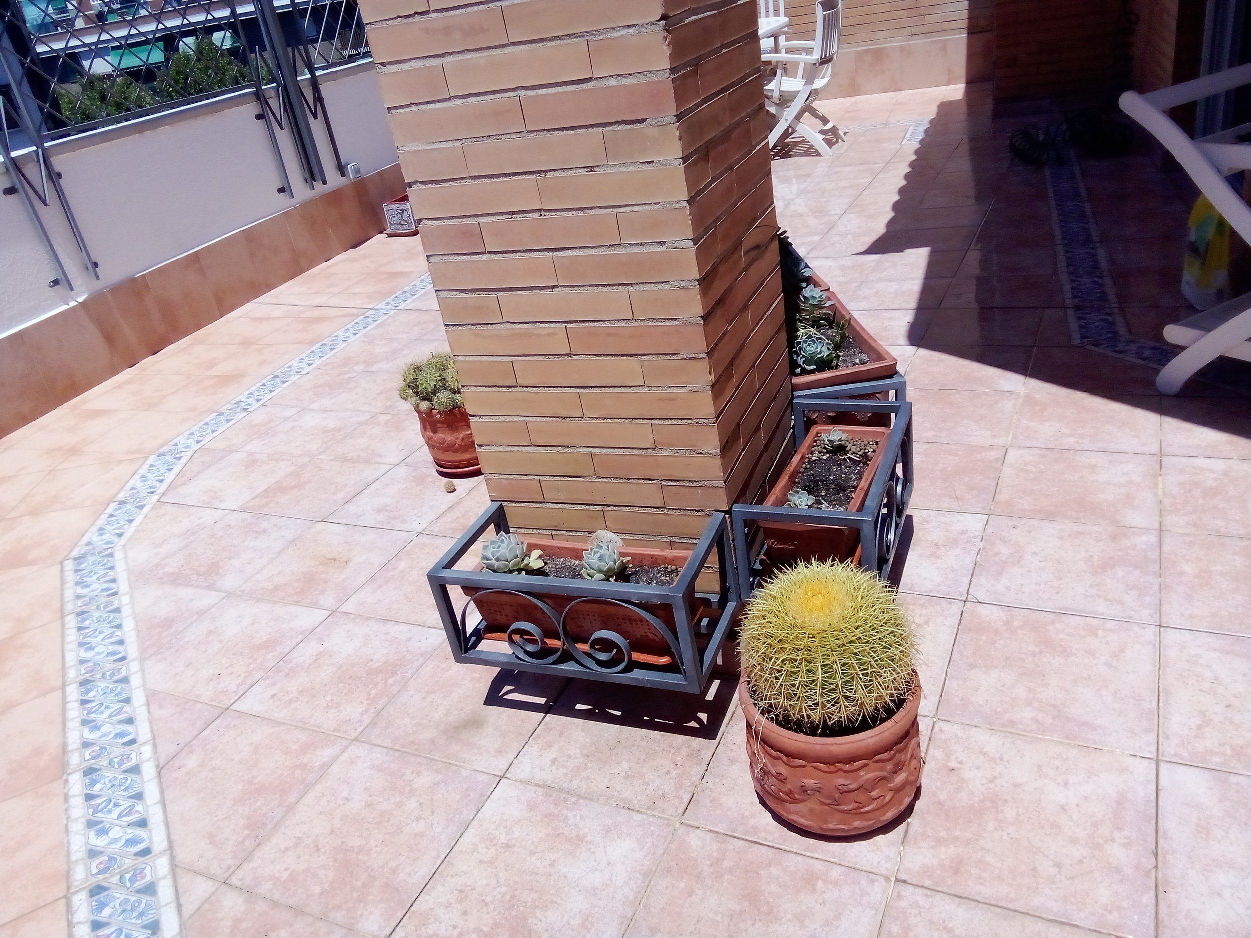Patio con macetas de cactus y plantas suculentas en cerámicas y repisas de metal junto a una columna de ladrillos, con piso de azulejo y barandillas metálicas a la izquierda