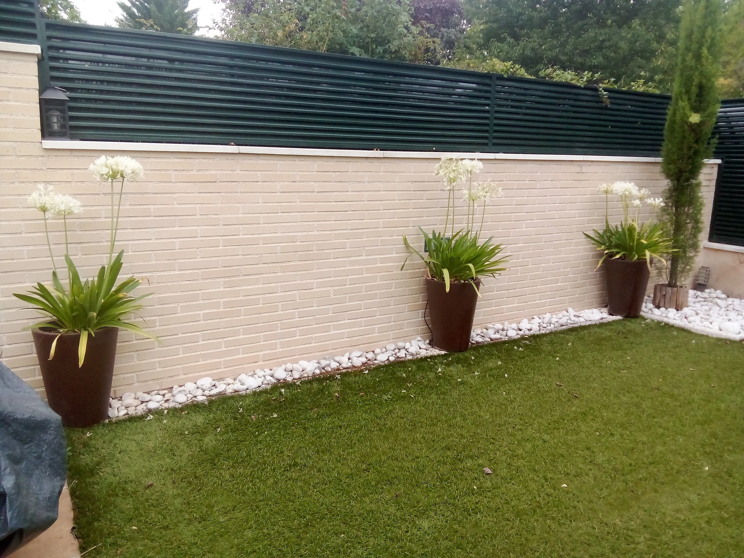 Jardín con césped verde, macetas con plantas con flores blancas, muro de ladrillos beige, y muro de láminas metálicas verdes.