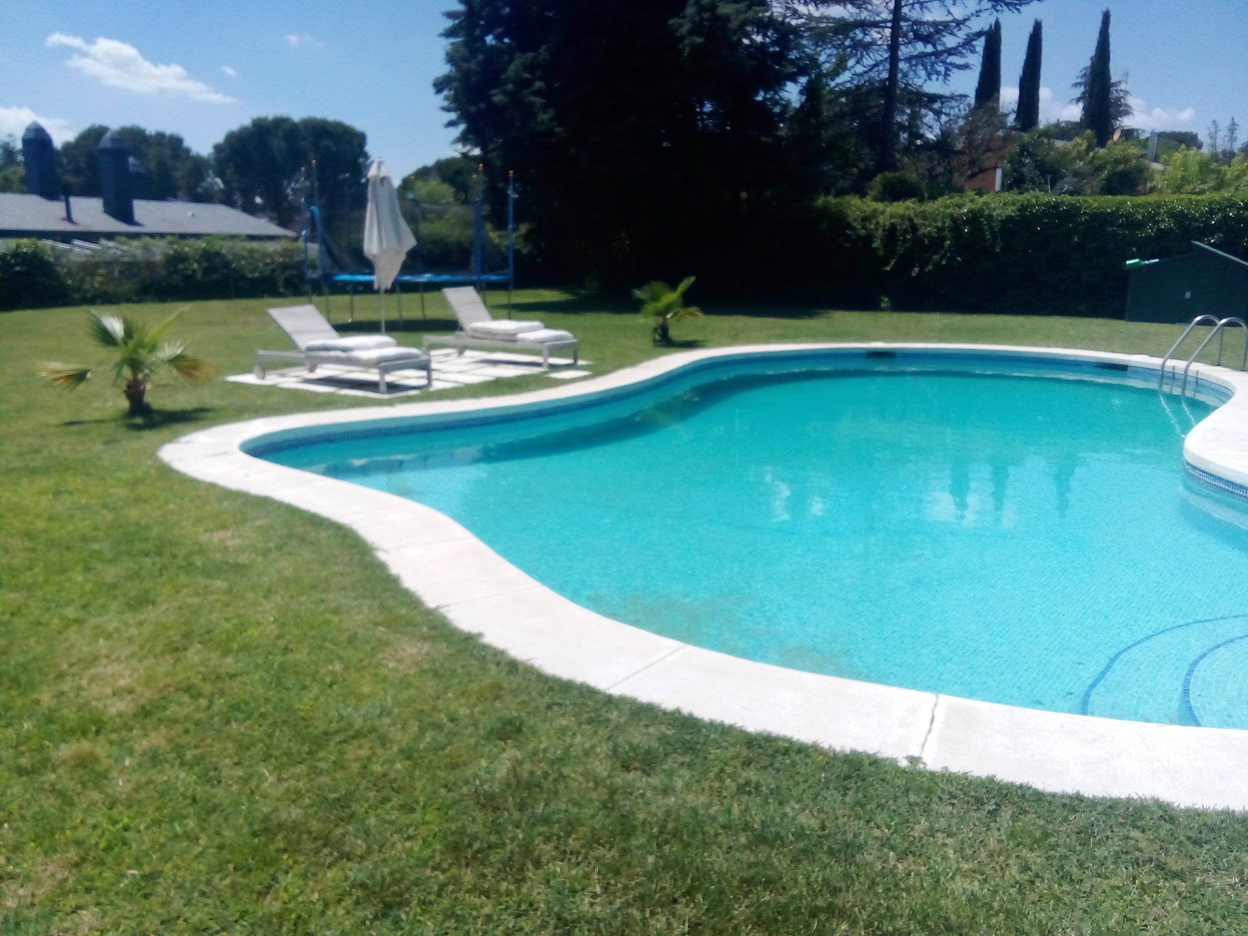 Piscina en un jardín con sillas y sombrillas, y árboles al fondo.