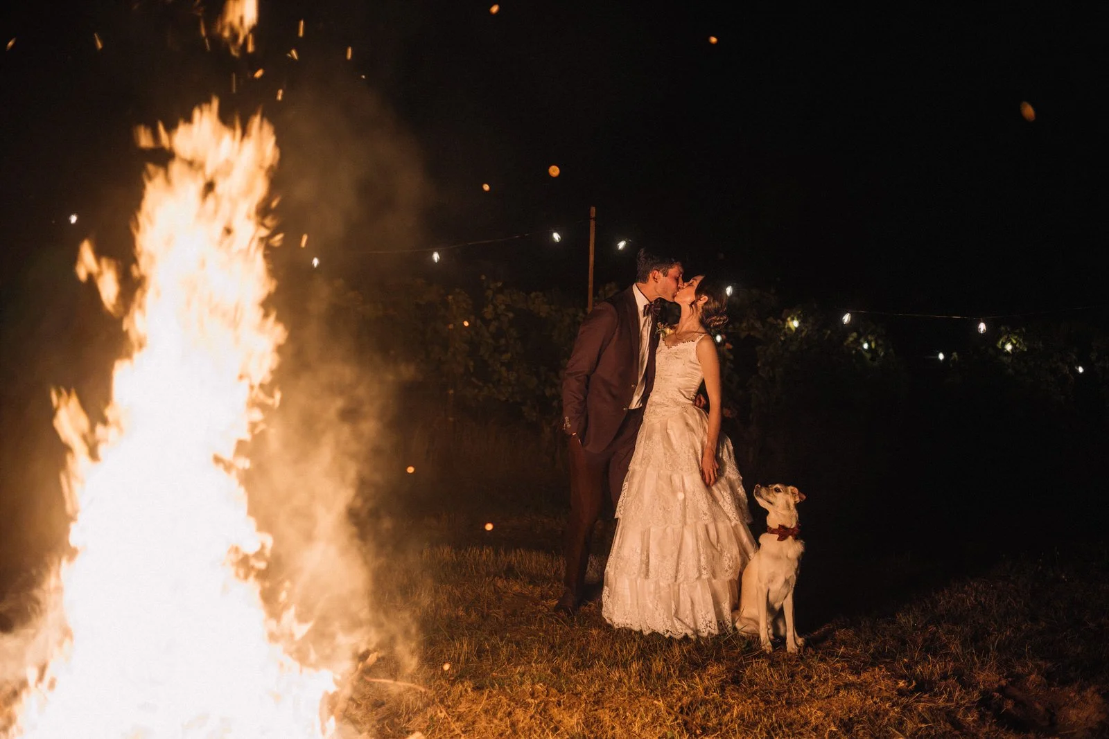 Bonfire Bride Groom Dog