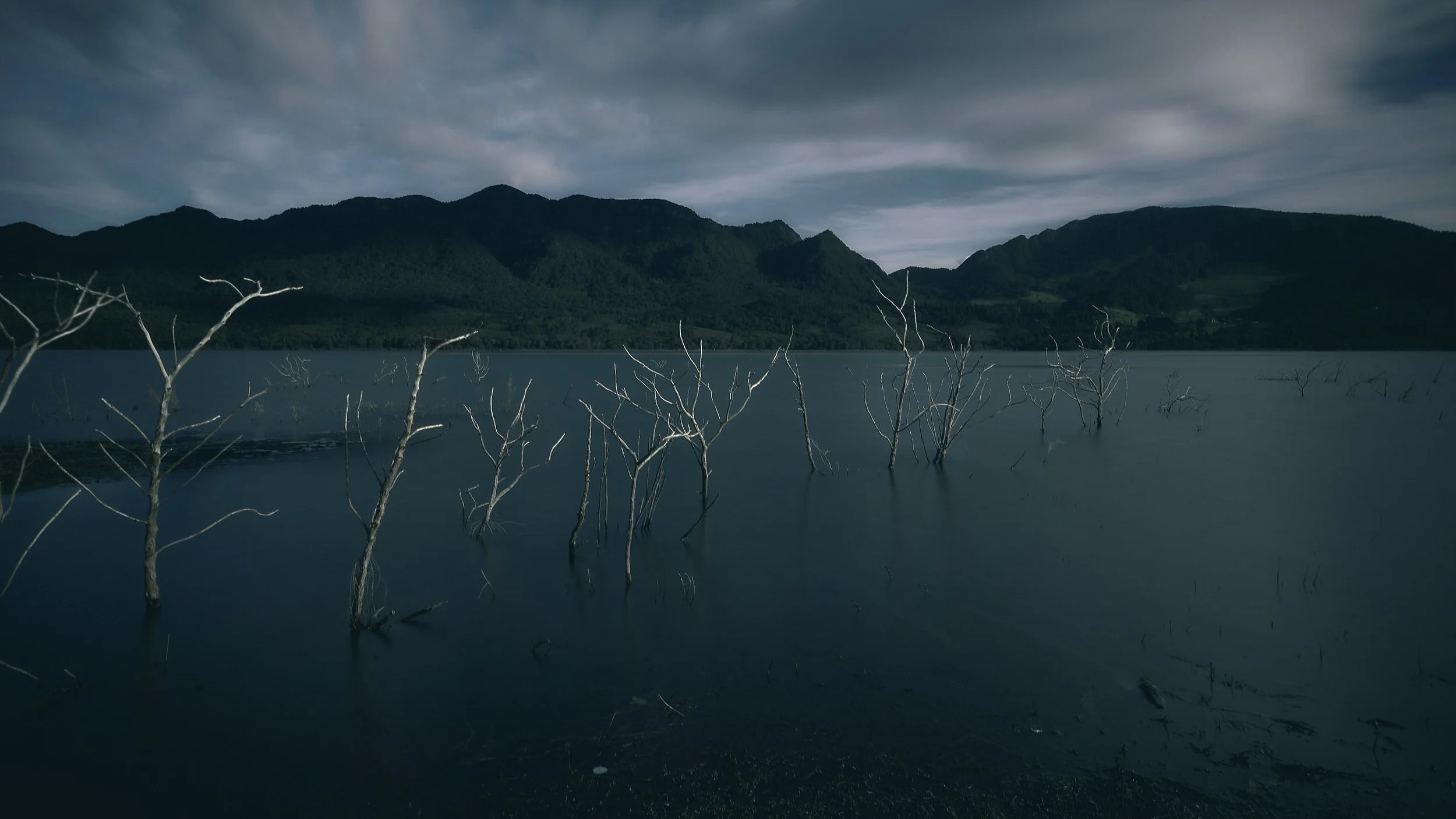 AMAZONAS COL 29.jpg