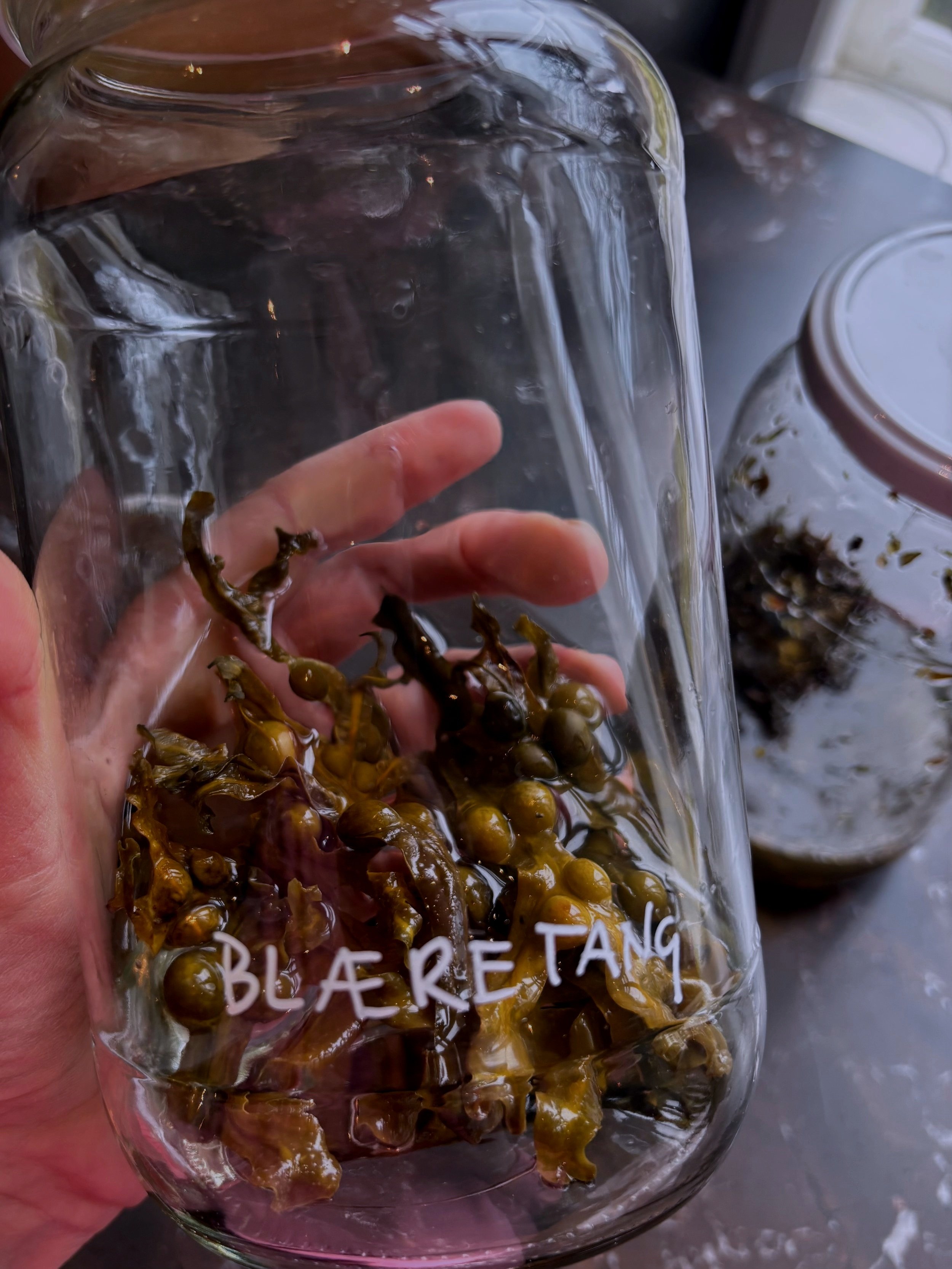 Sourcing the North. One Ingredient at a Time