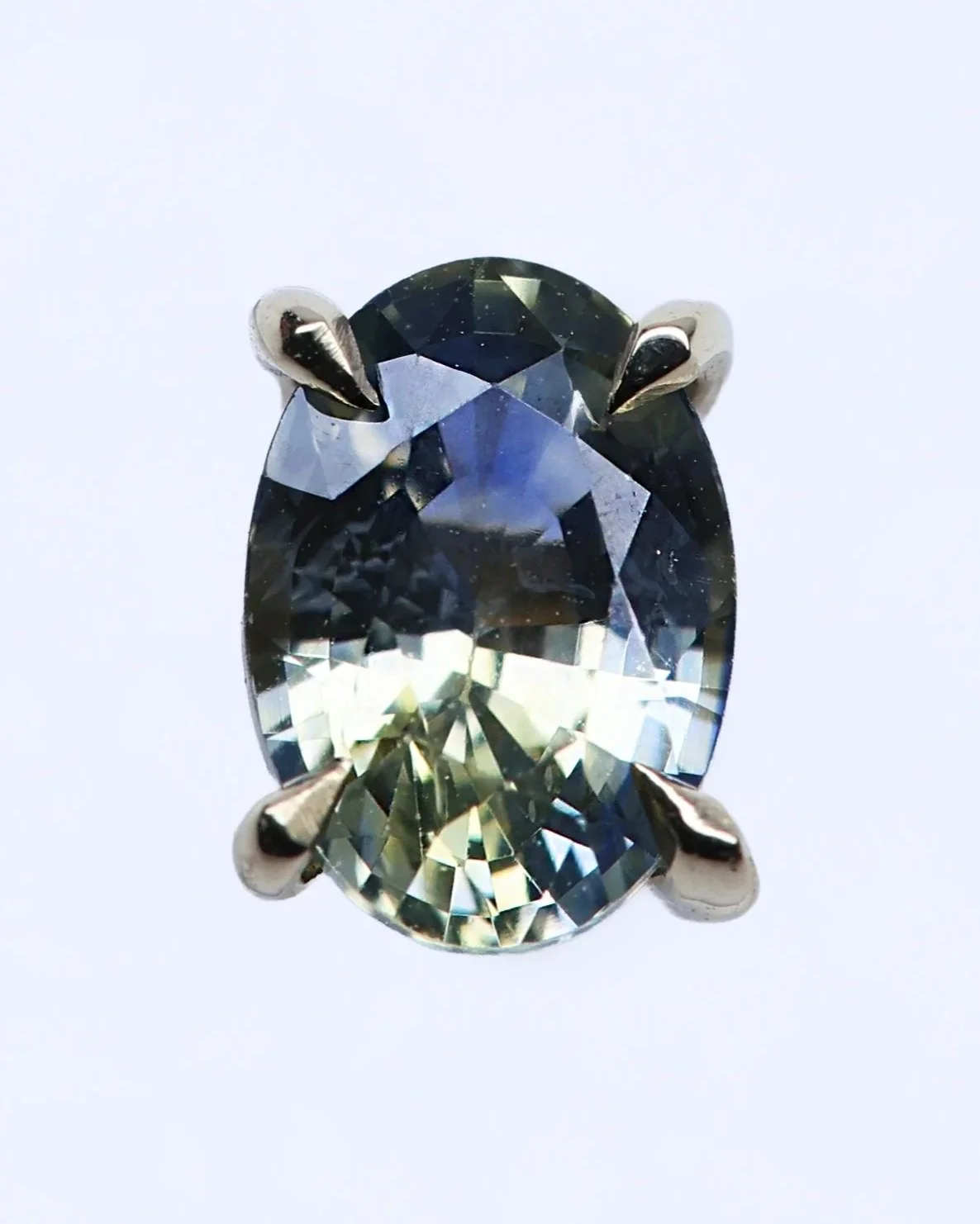 The Oval Parti Sapphire Stud