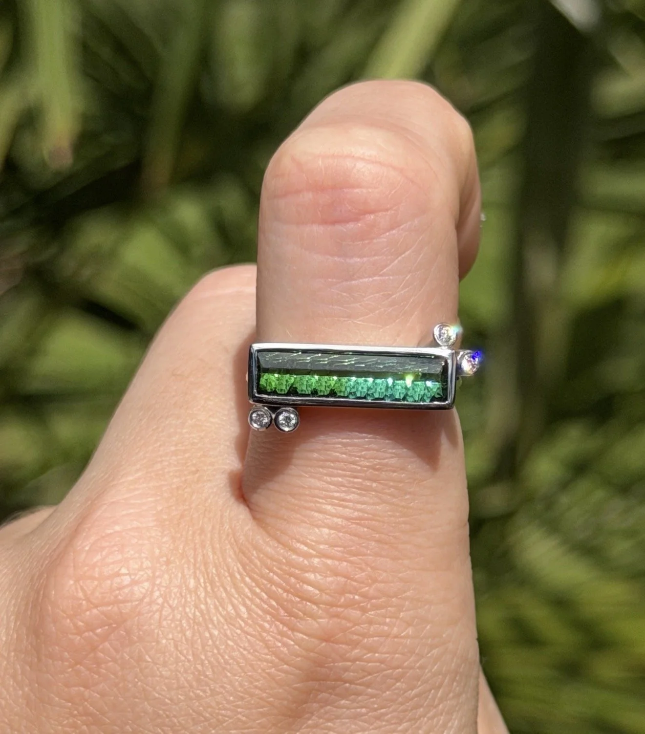 IMG_2766.jpeg