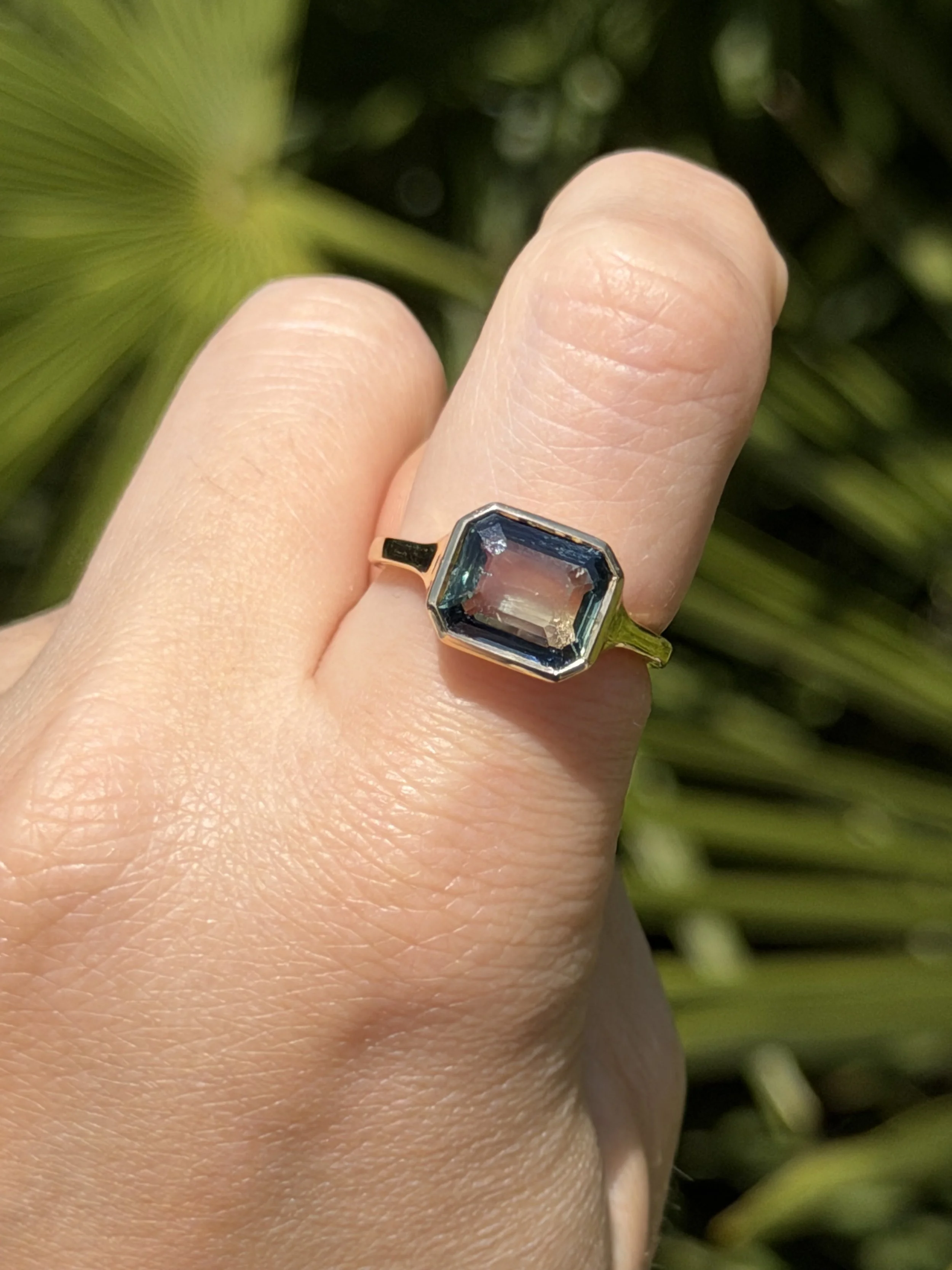 IMG_1778.jpeg