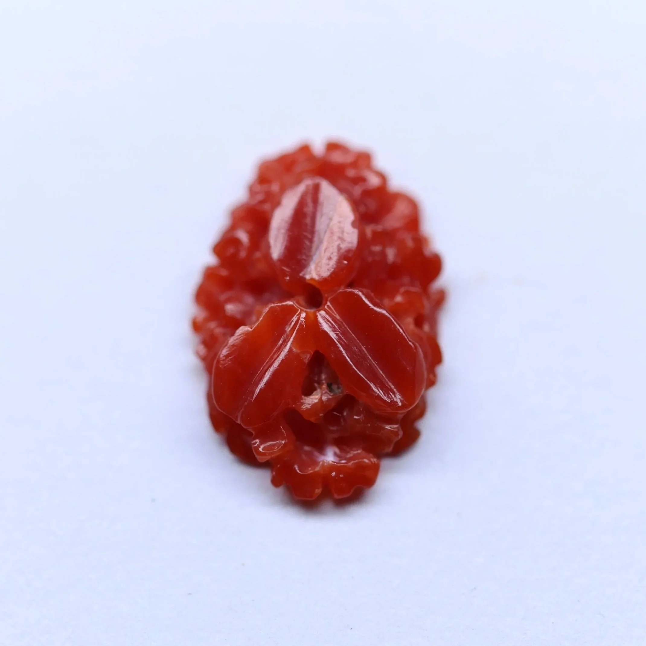 Red Coral