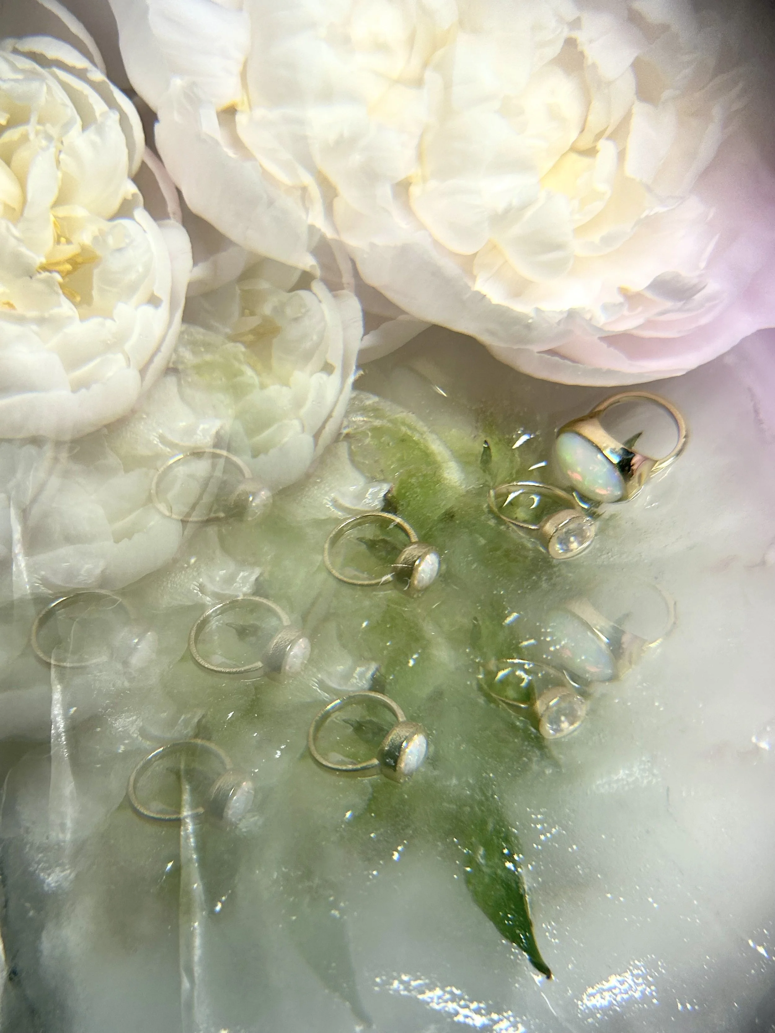Close-up of white peony flowers and rings with pearls and gemstones on a surface that appears to be ice or a glossy surface with a hint of pink and green hues.