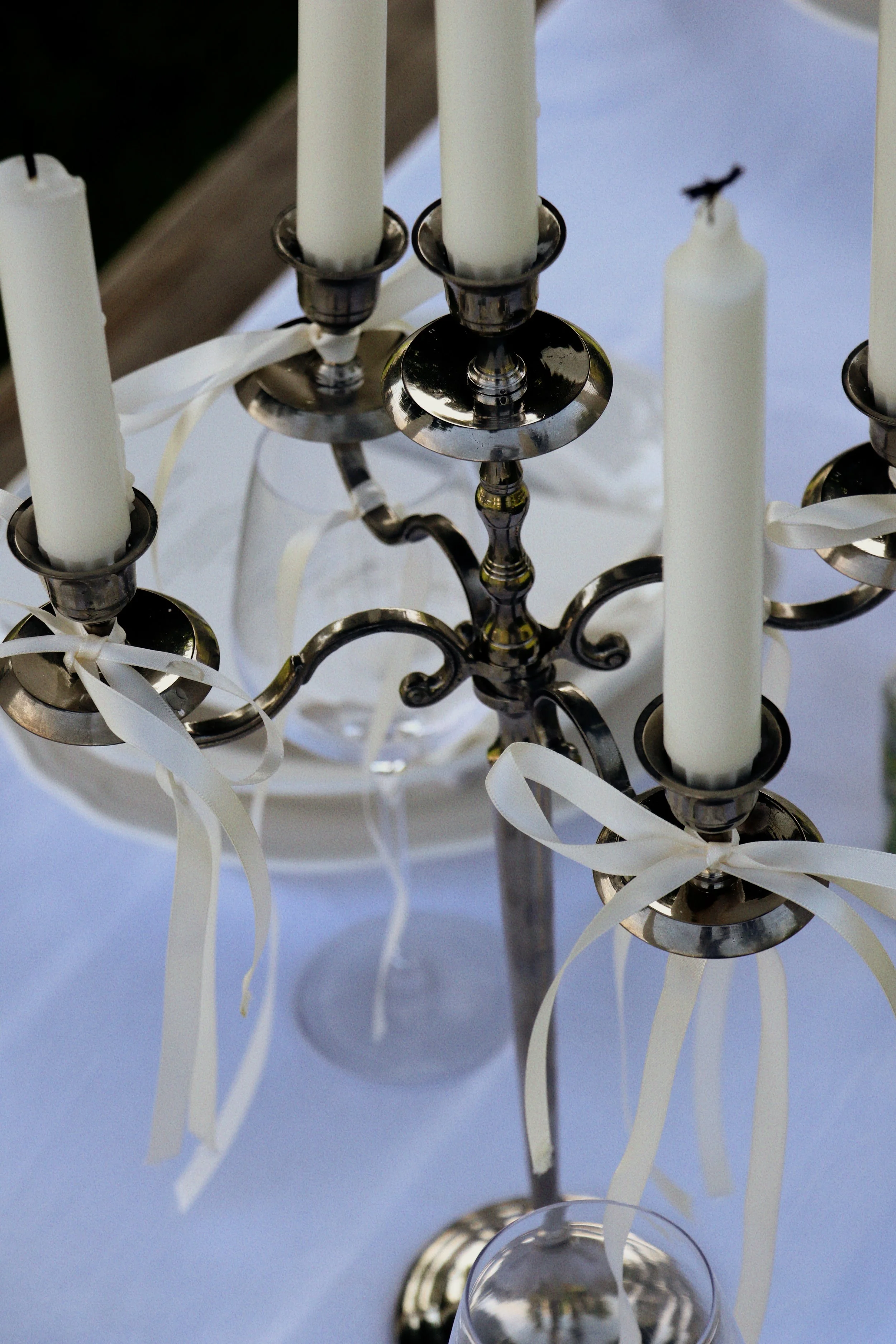 Tezza-2364.JPG