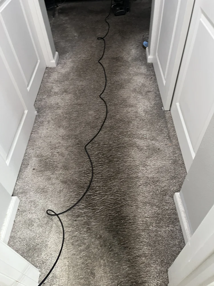 Before upholstery cleaning