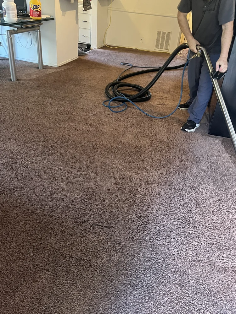 After carpet cleaning