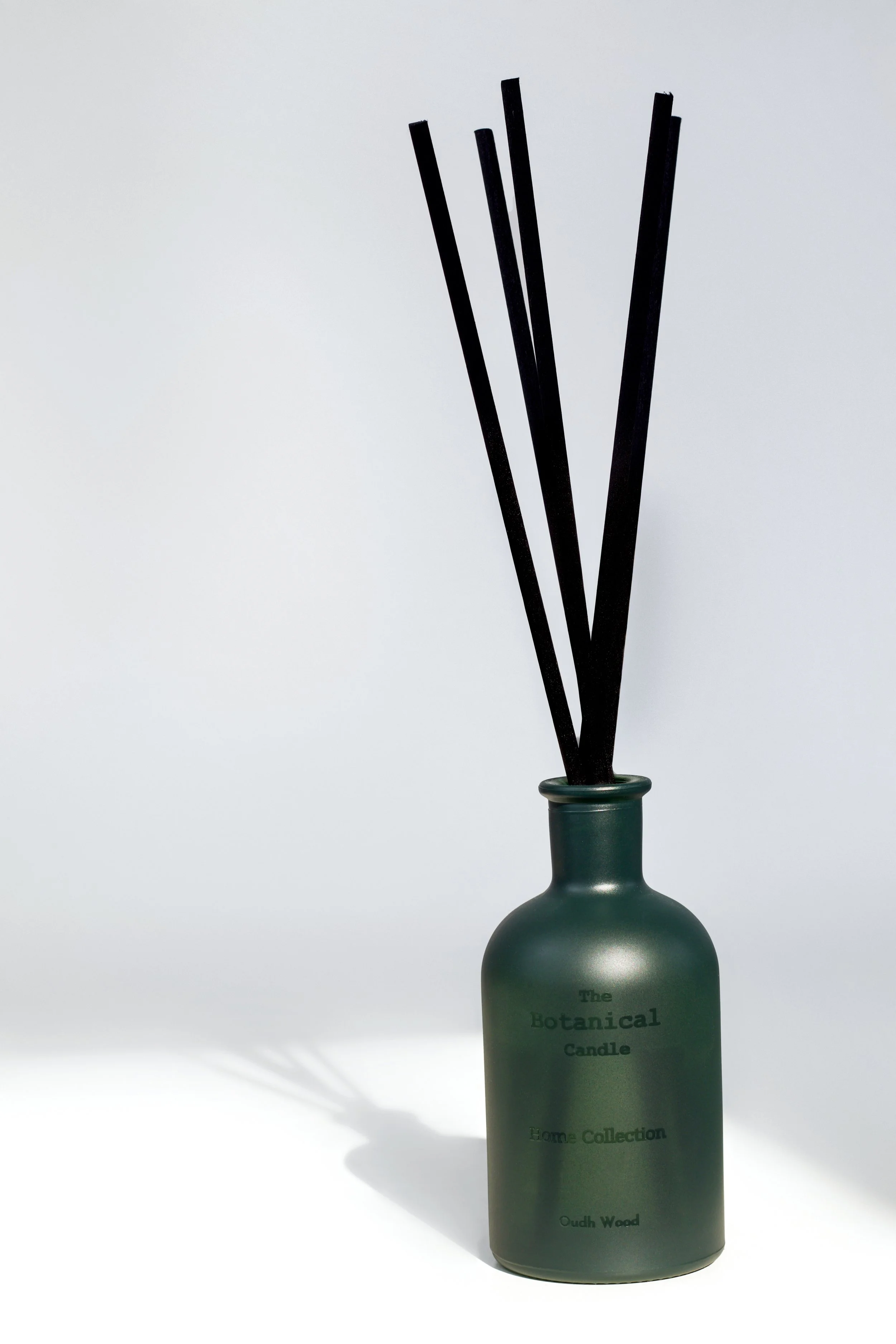 Foto 06-06-2025, 09 29 49.JPG