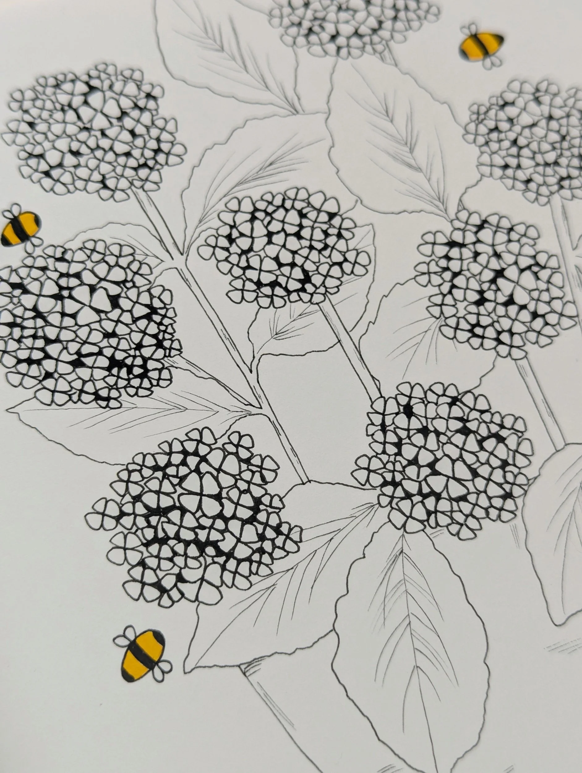 Hydrangeas at dusk original botanical bee artwork