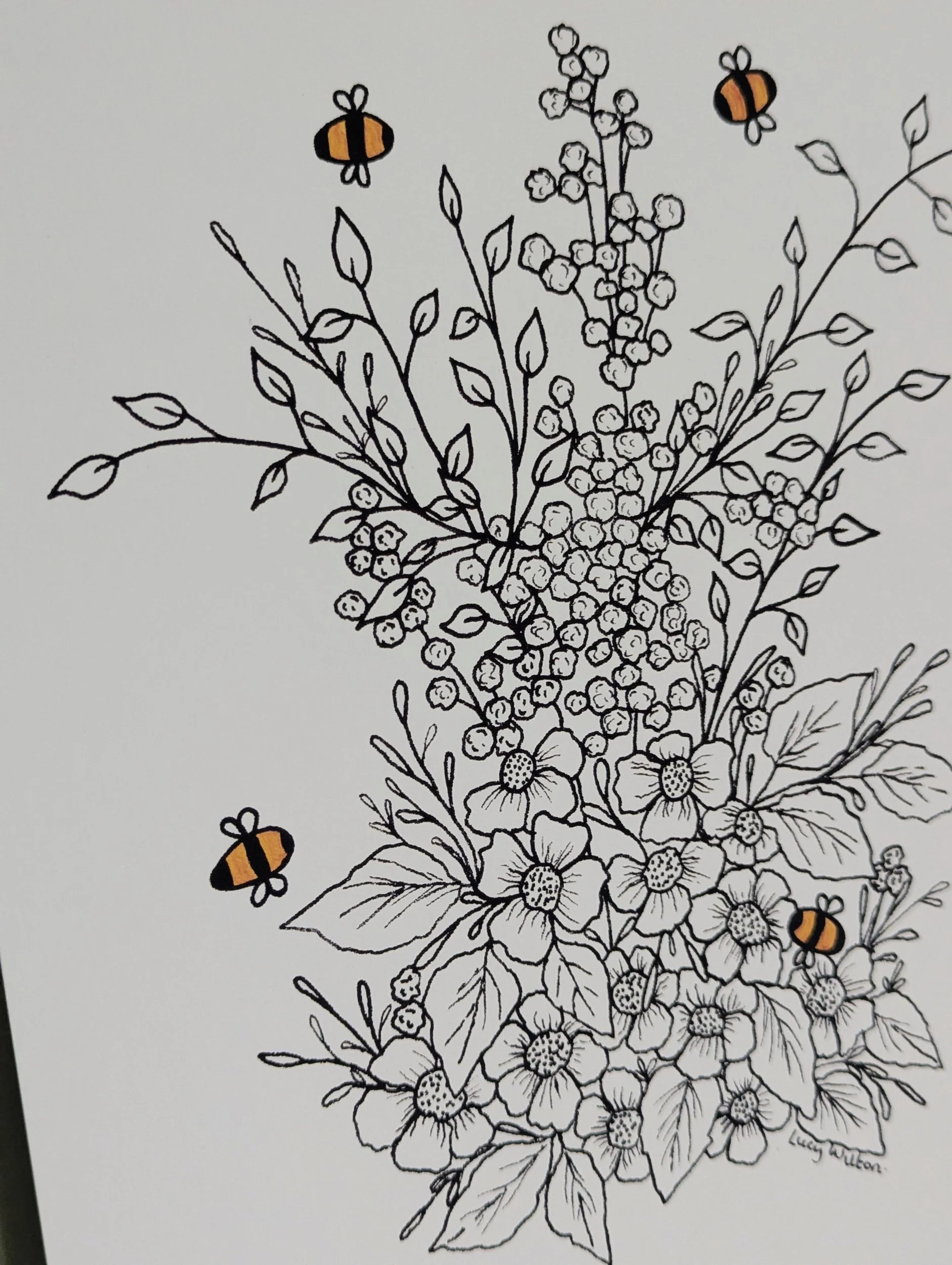 hand-drawn botanical fine line bee illustration print by Lucy Wilton