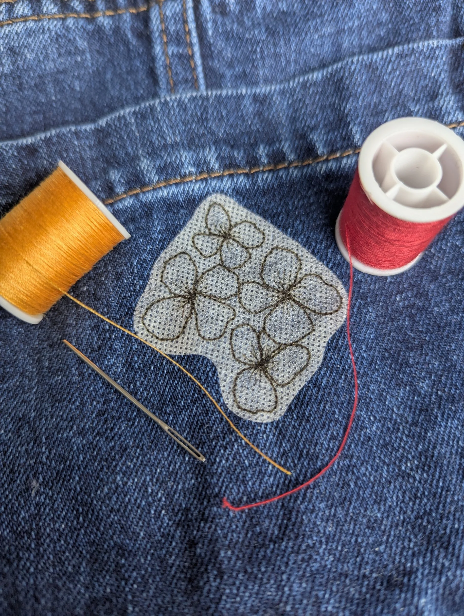 processed_PXL_20250624_145322592.MP.jpg (Copy) (Copy) (Copy)