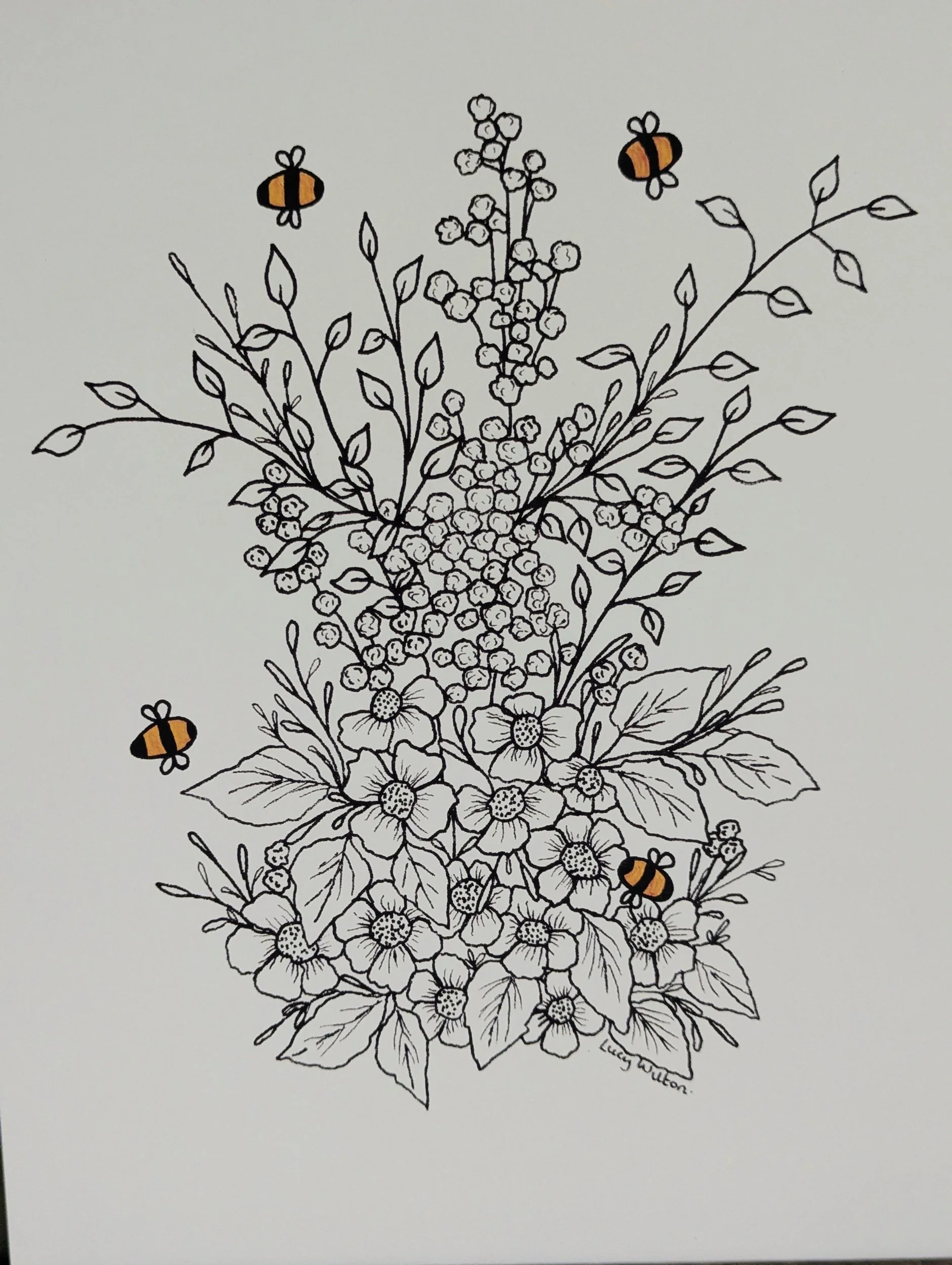 hand-drawn botanical fine line bee illustration print by Lucy Wilton