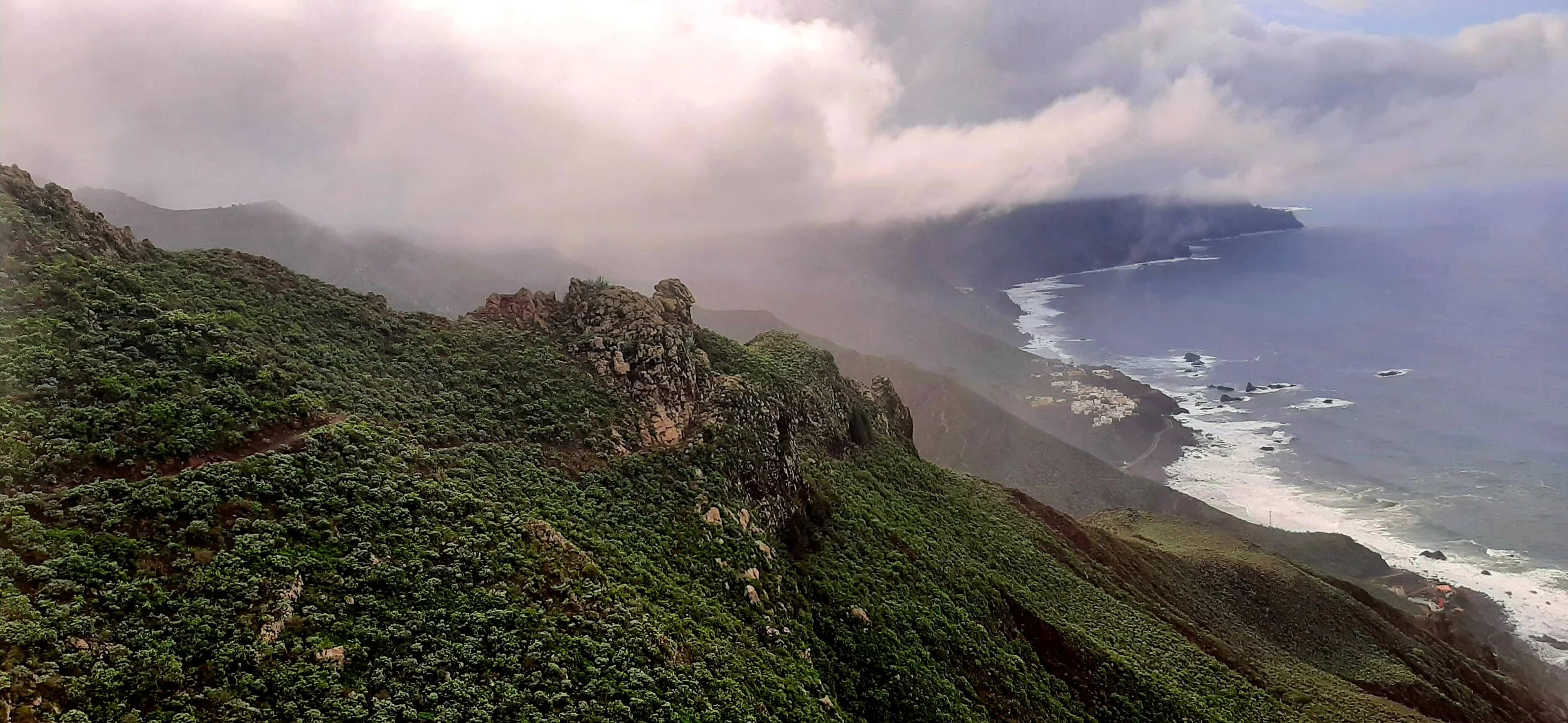 20241126_144742 (1).jpg