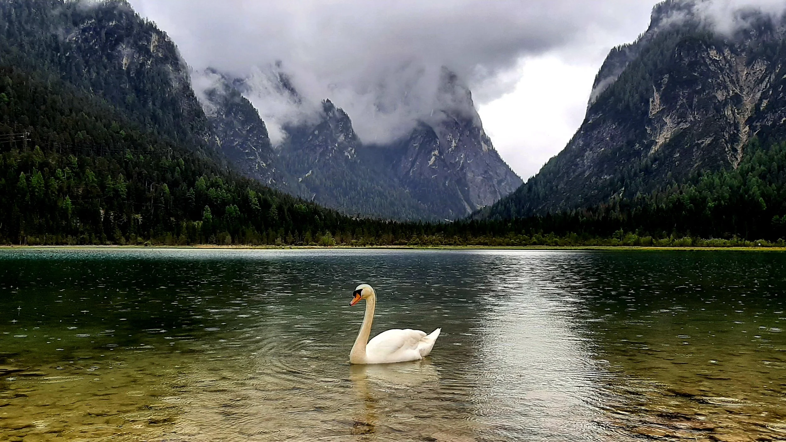Lago Missurina - The Dolomites