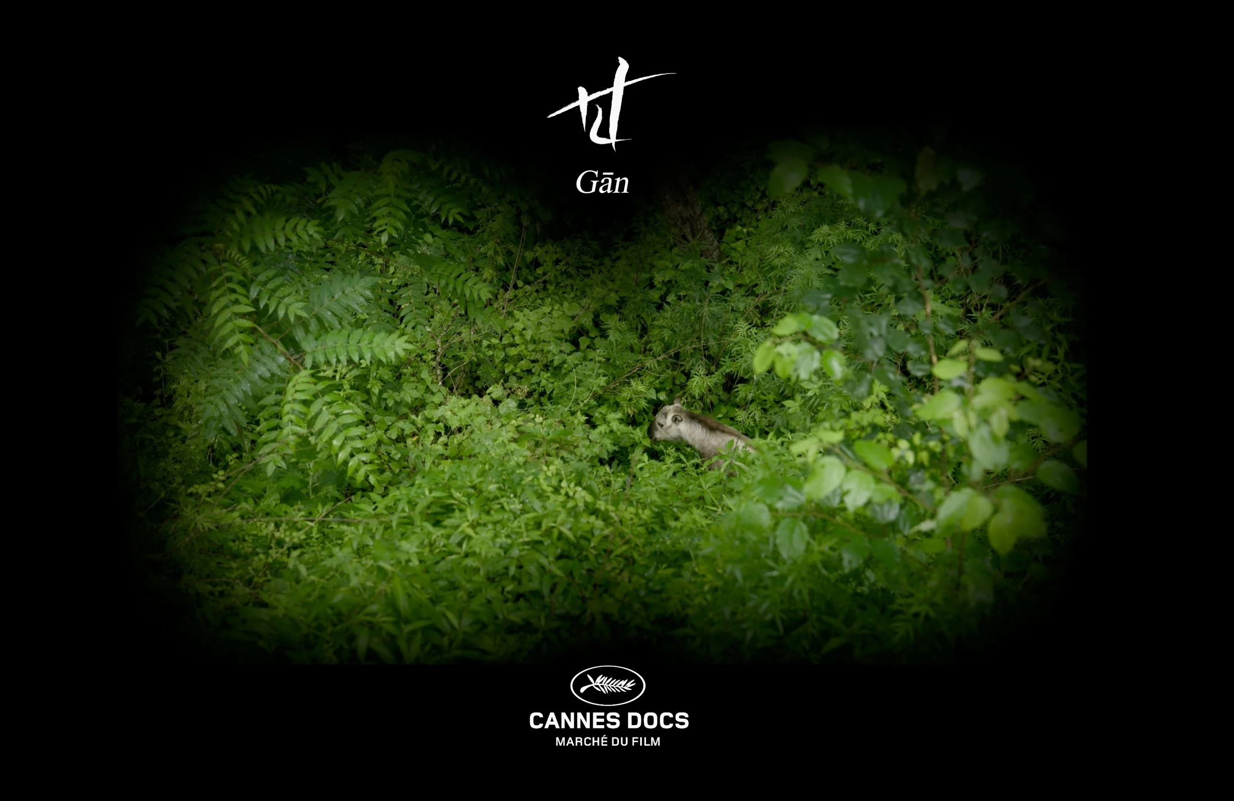 GAN