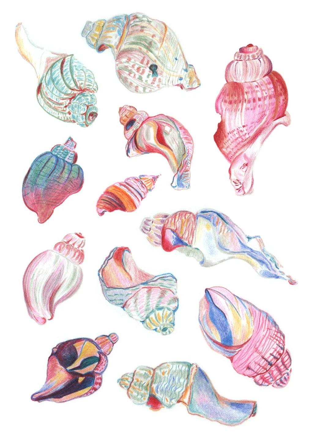 Clean placement Shells low res.jpg