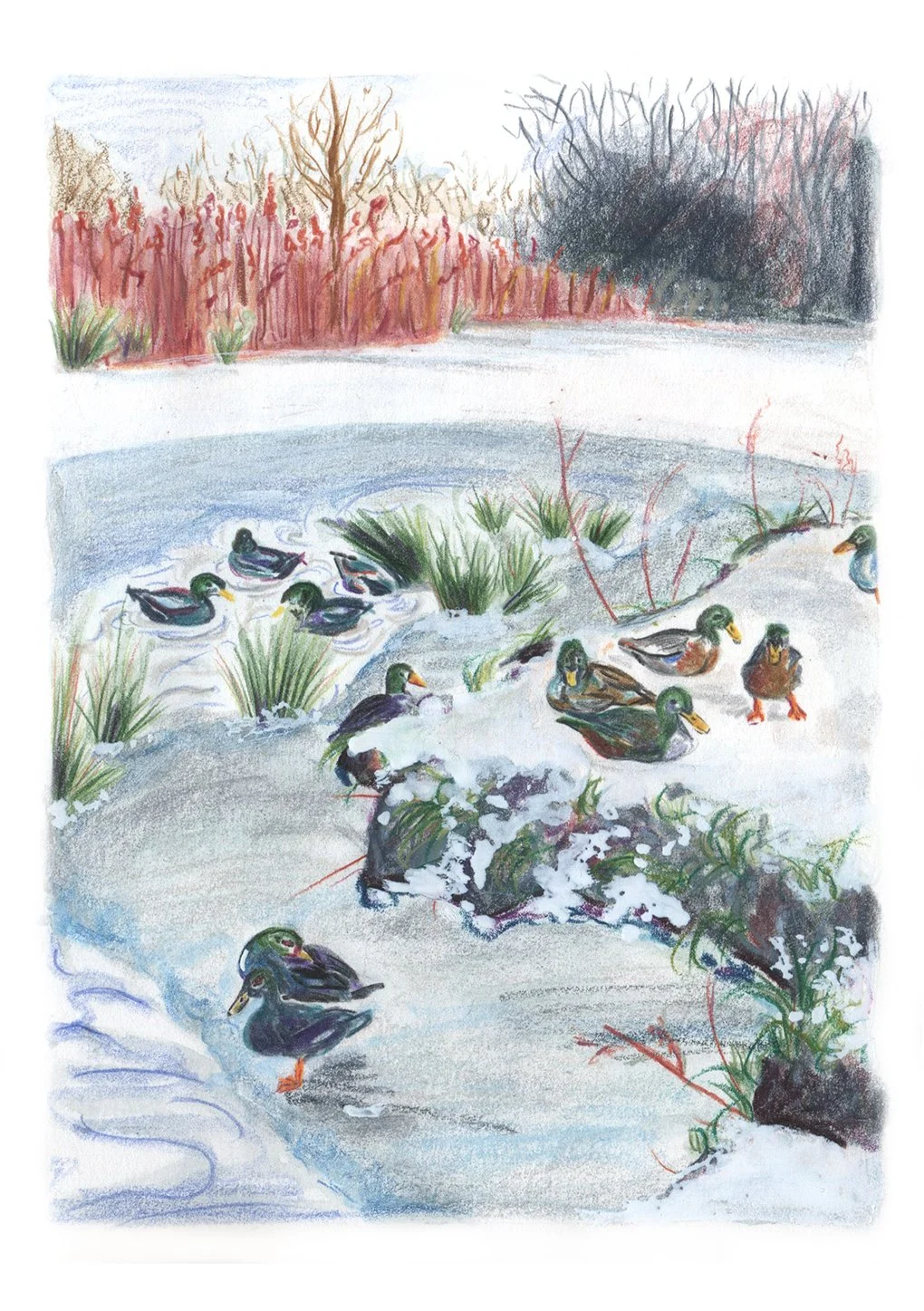 New - winter walk website.jpg