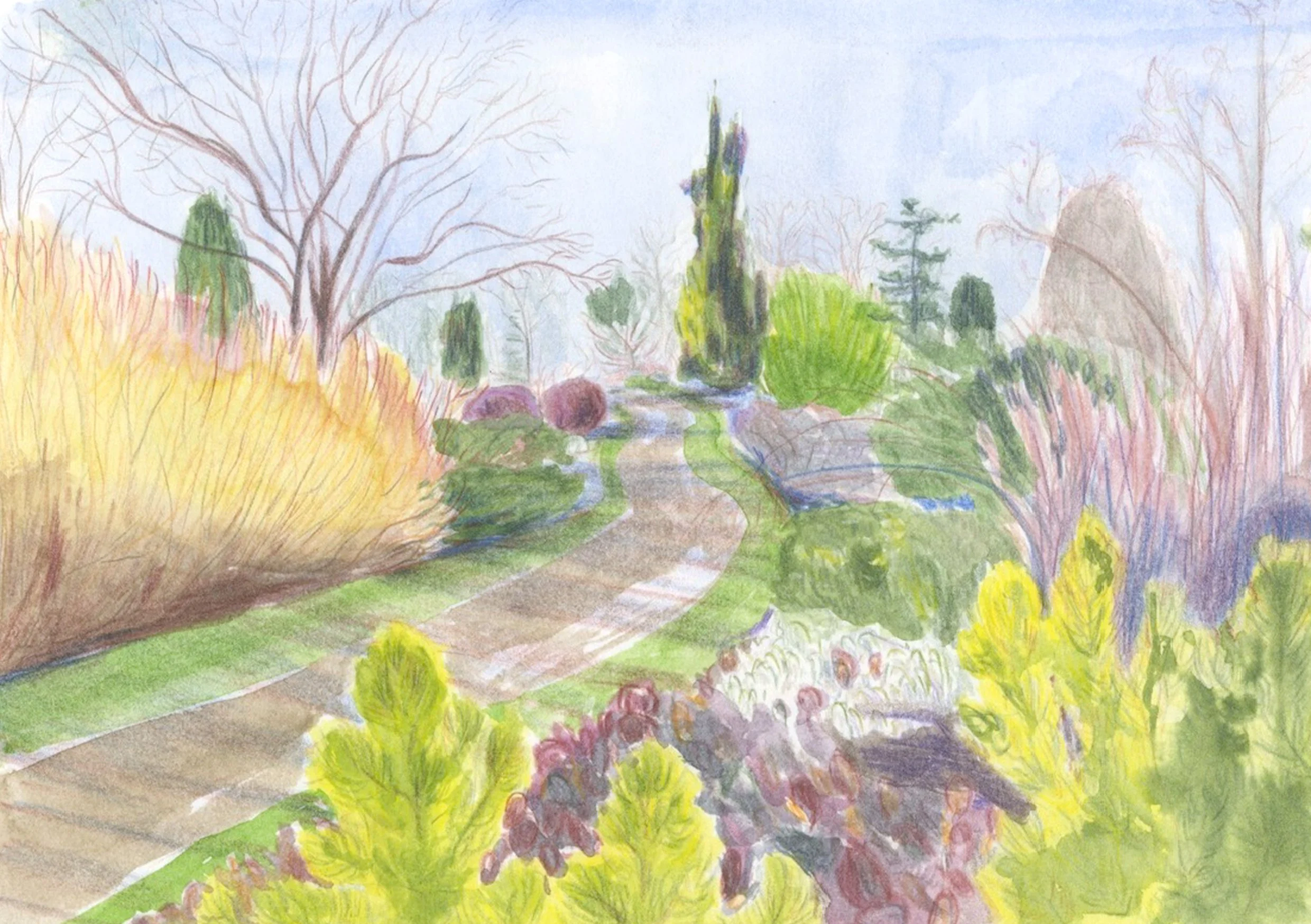 botanical garden SB.jpg
