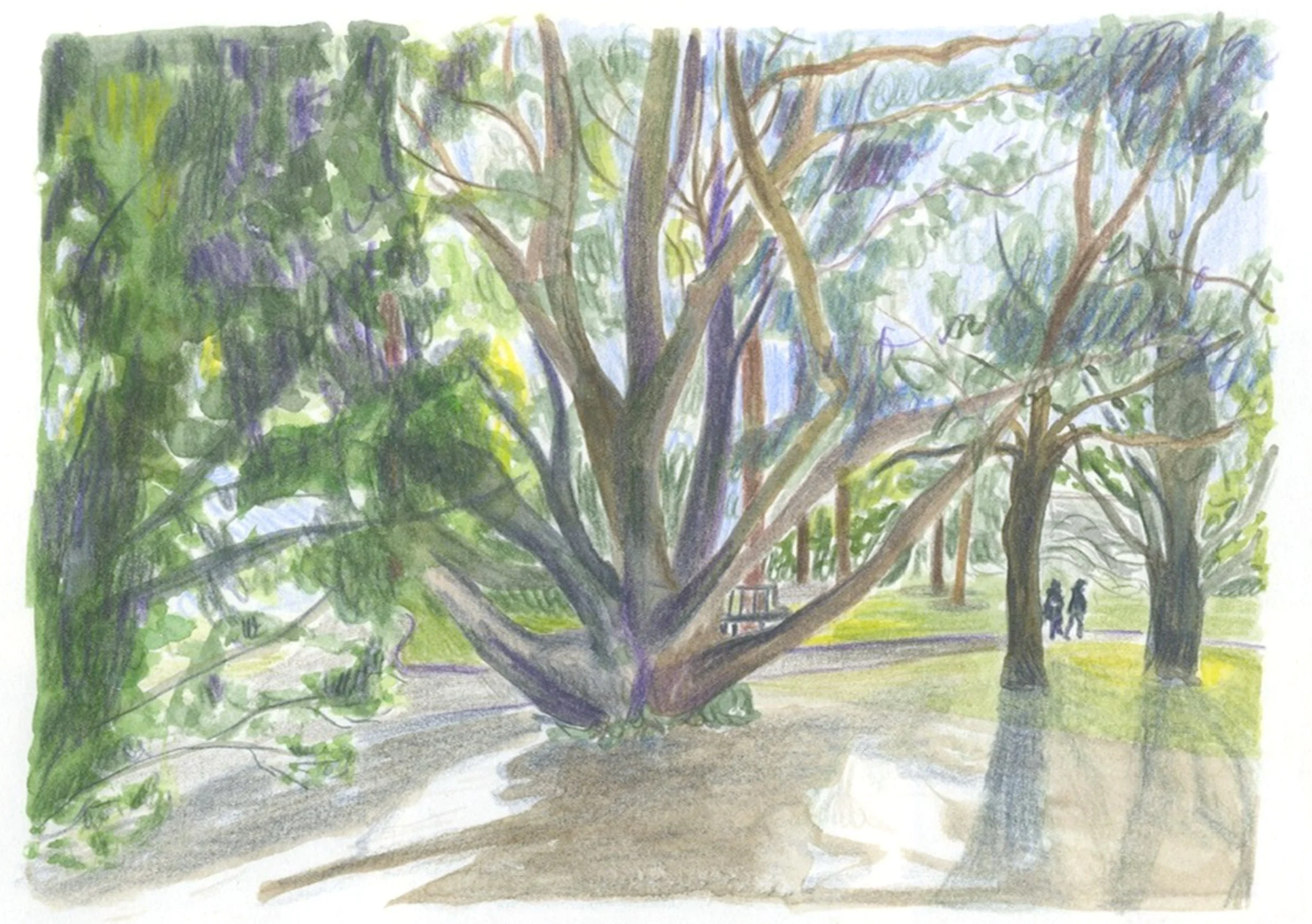 Botancial  gardens SB2.jpg