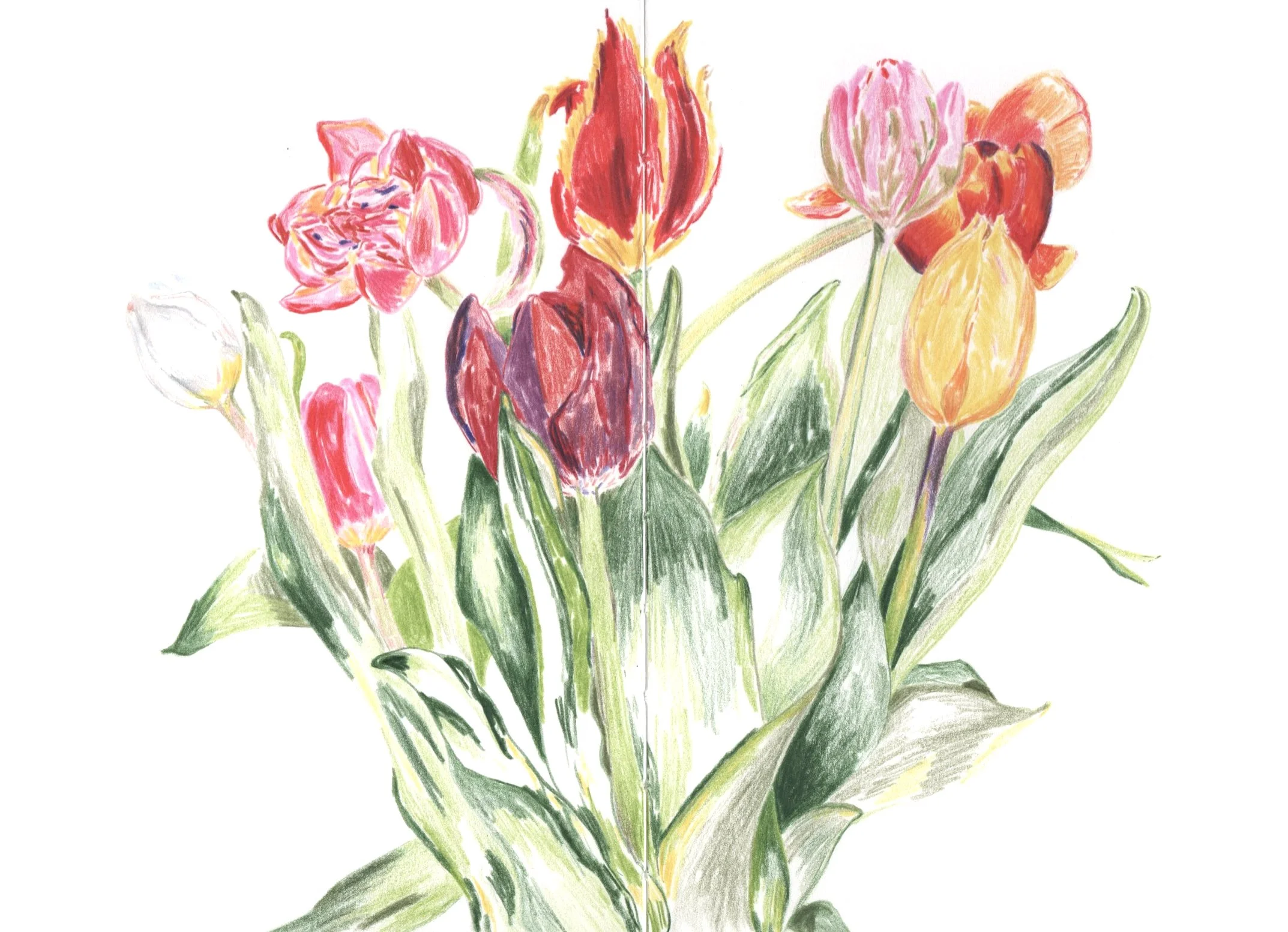 Flower 1 clean.jpg