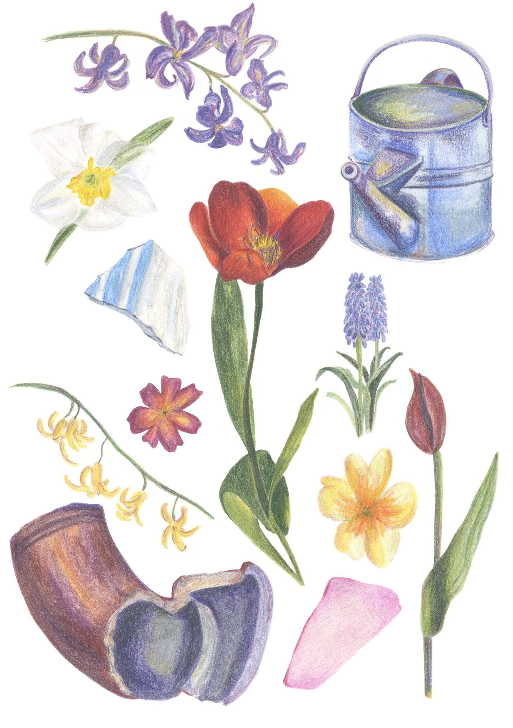 Garden collection.jpg