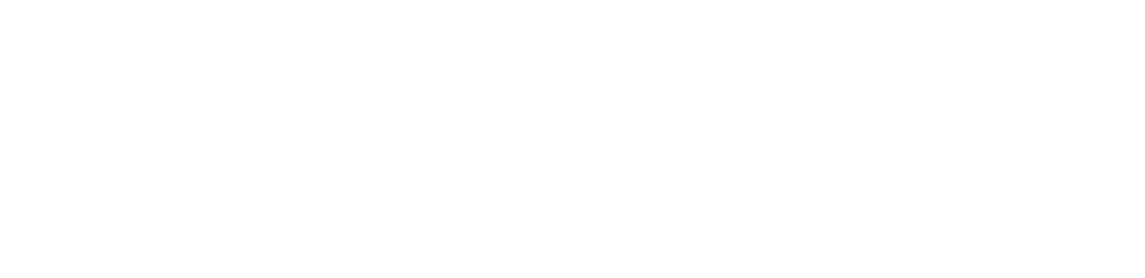 RZN_VI_Logo_Horizon_screen_White_RGB.png