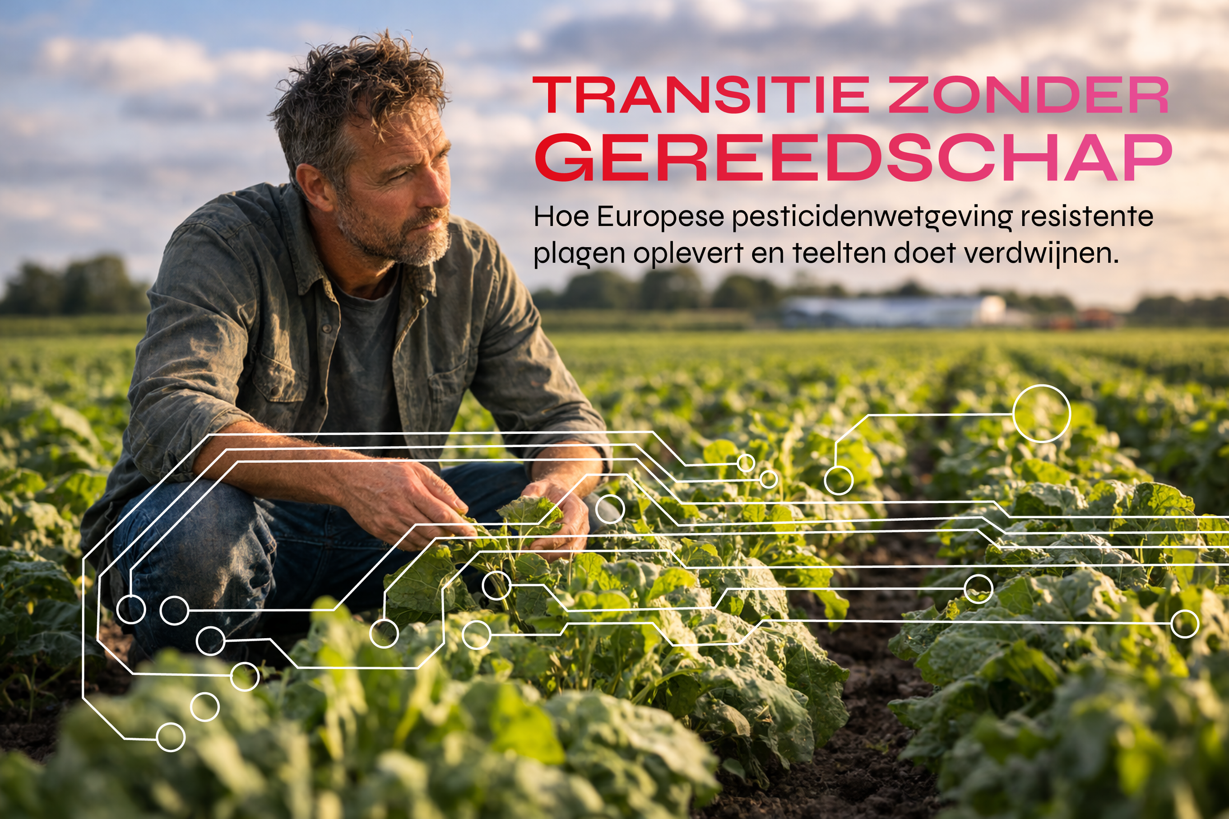 TRANSITIE ZONDER GEREEDSCHAP