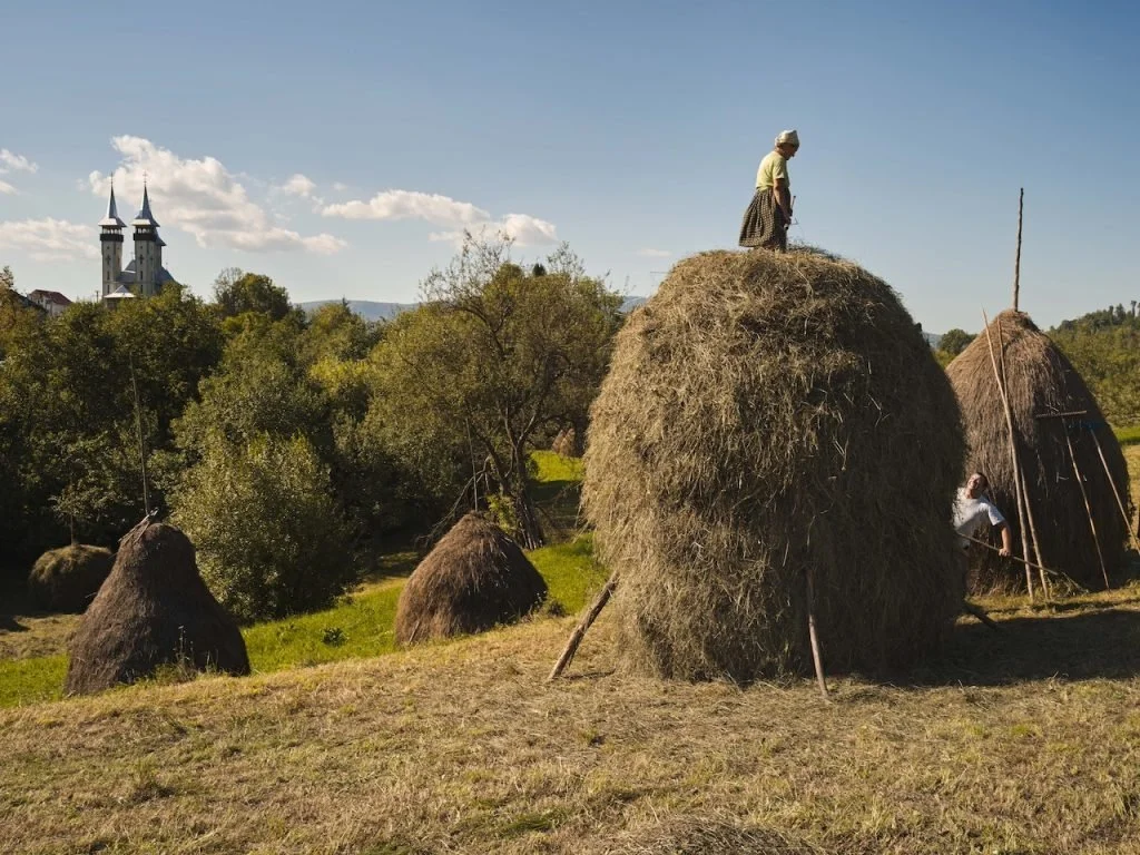 ‍Duurzame vormen van landbouw uit de hele wereld