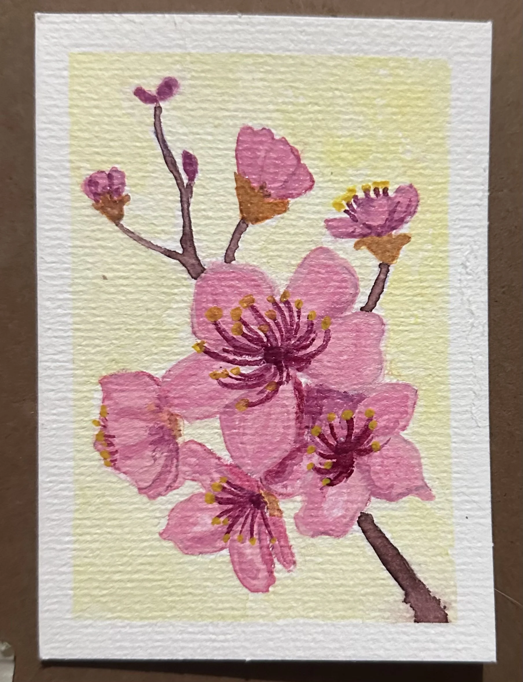 Watercolour flower cards series