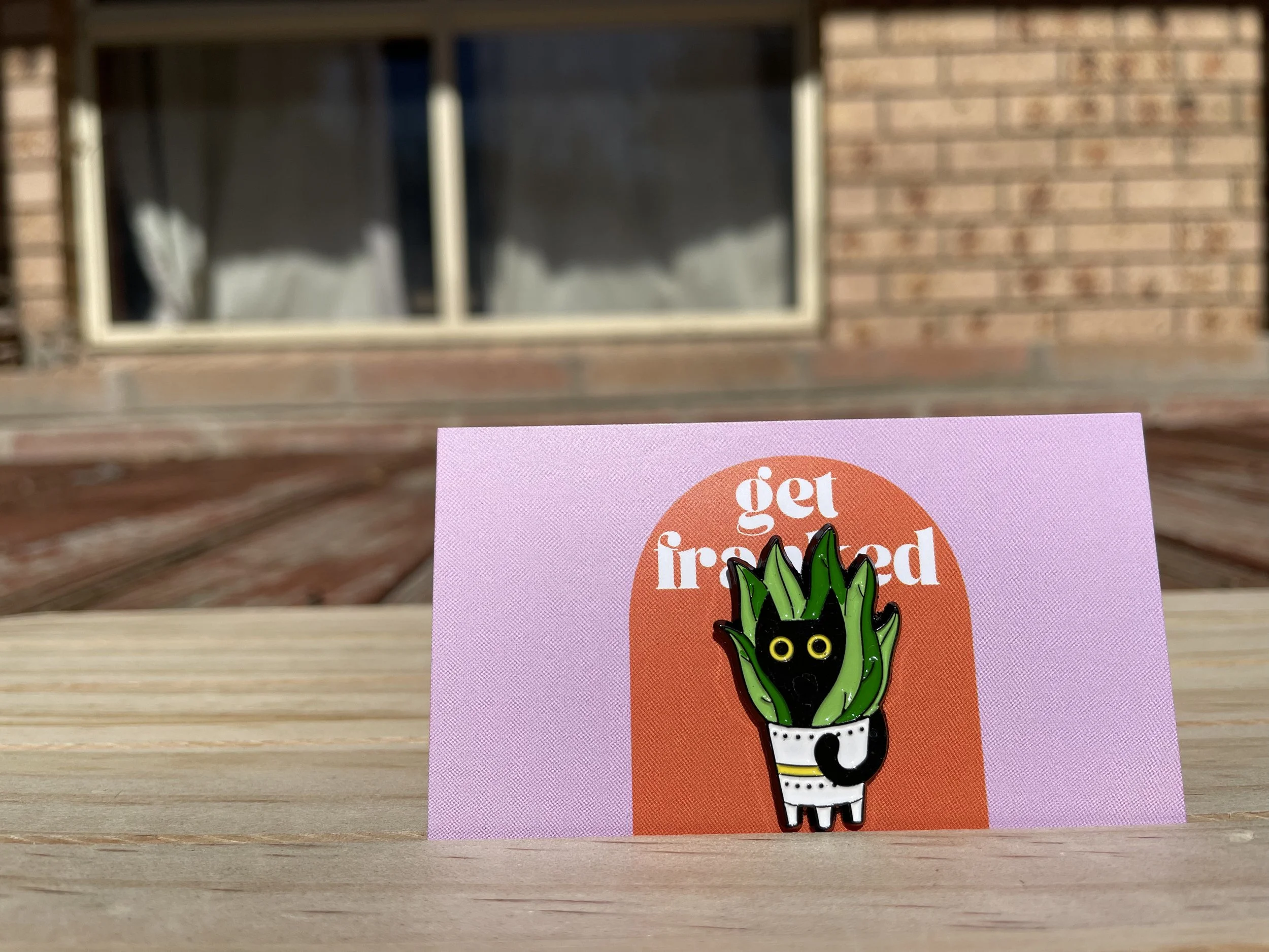 Needle minder: Cat in a plant