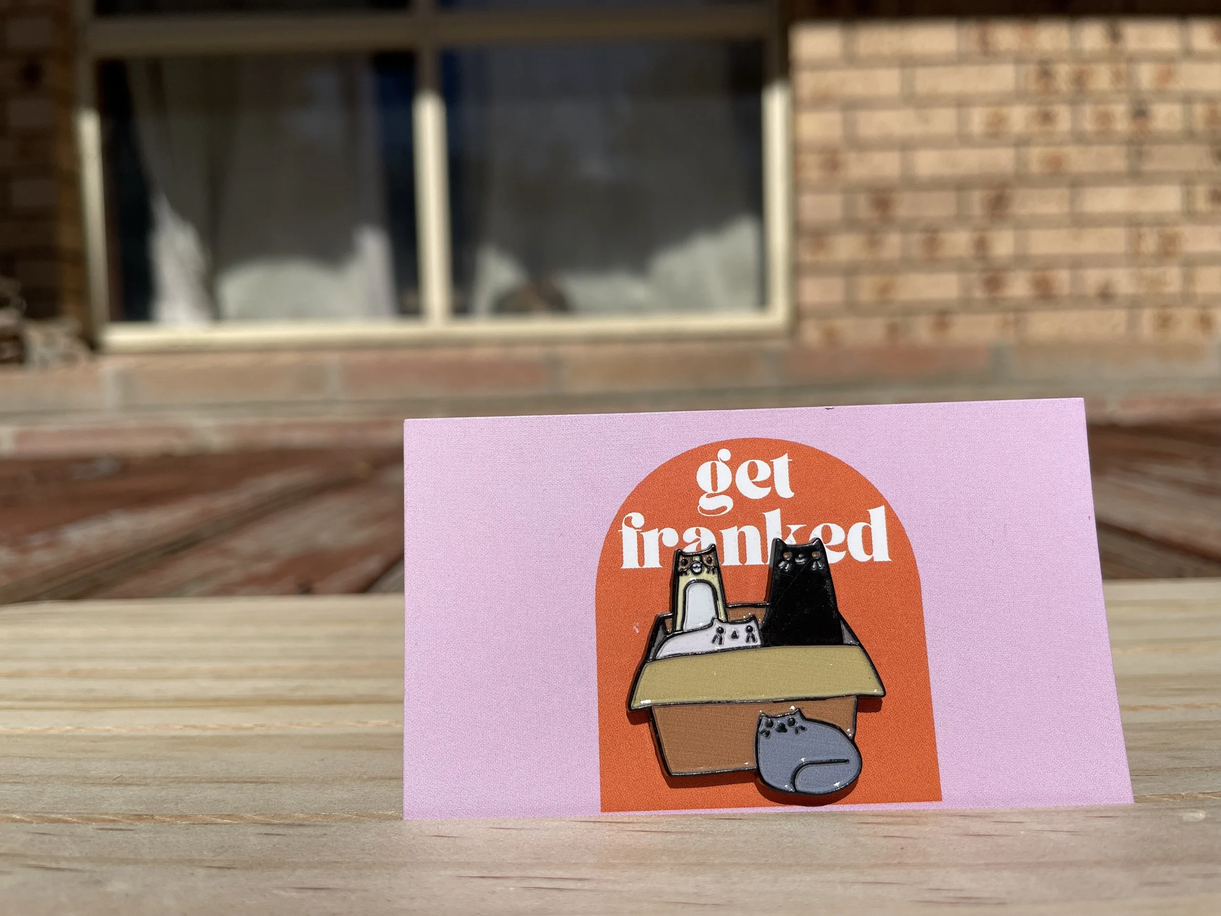 Needle minder: Cats in a box