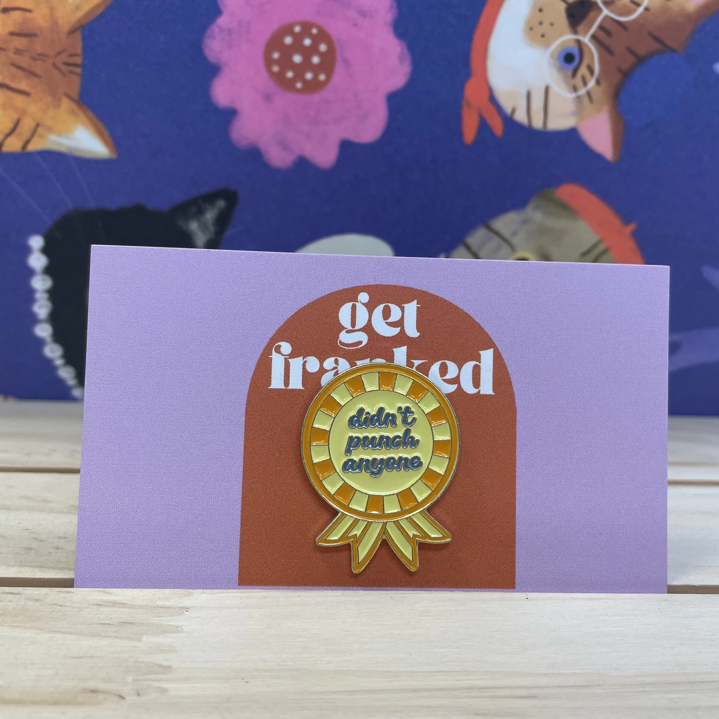 Pin: "Didn't punch anyone"