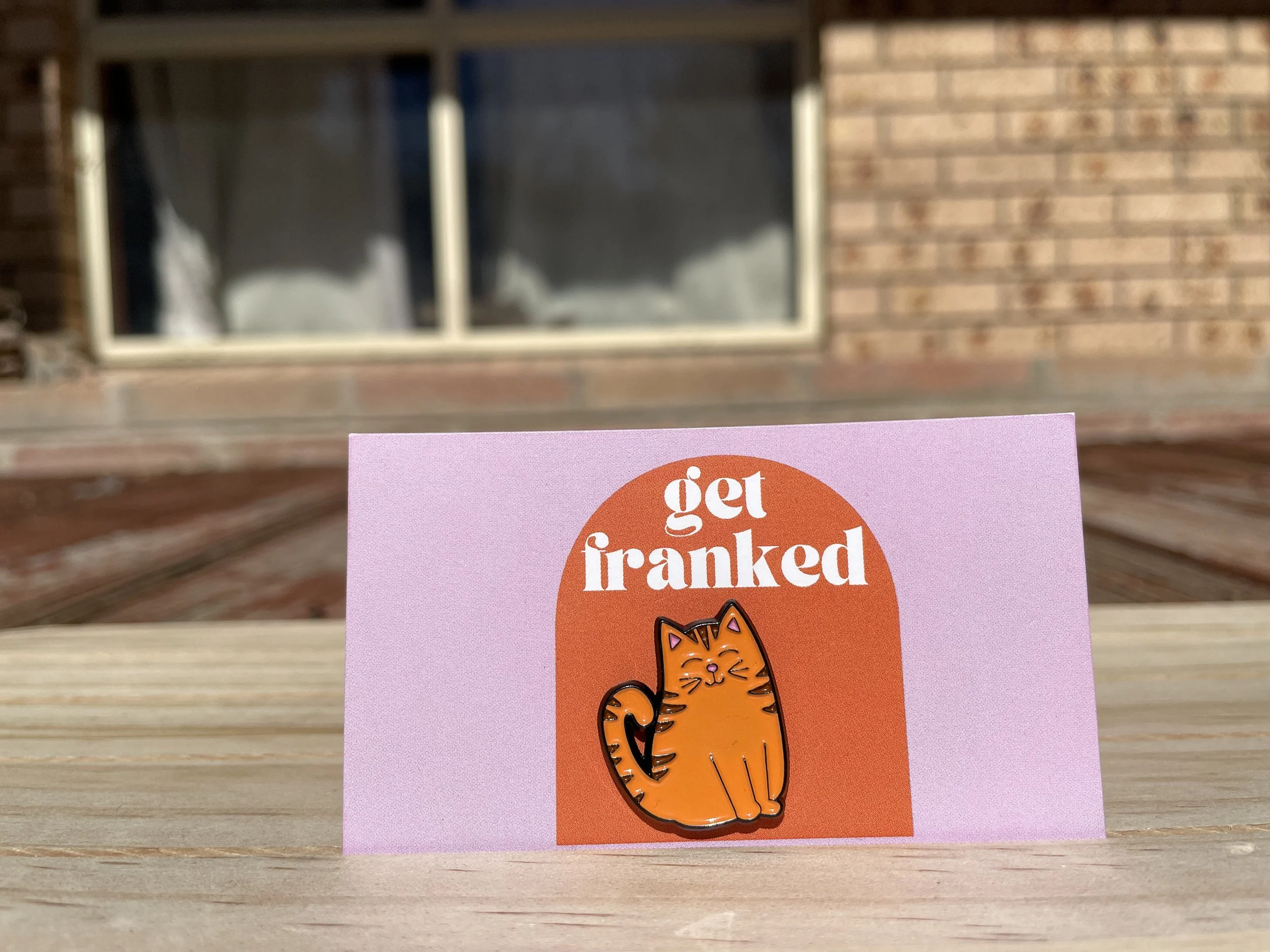 Needle minder: Orange cat