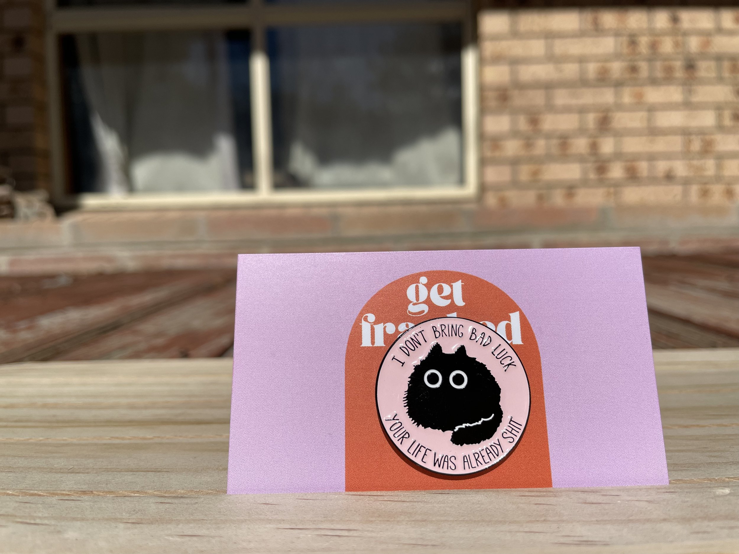 Pin: "I don't bring bad luck, your life was already shit"