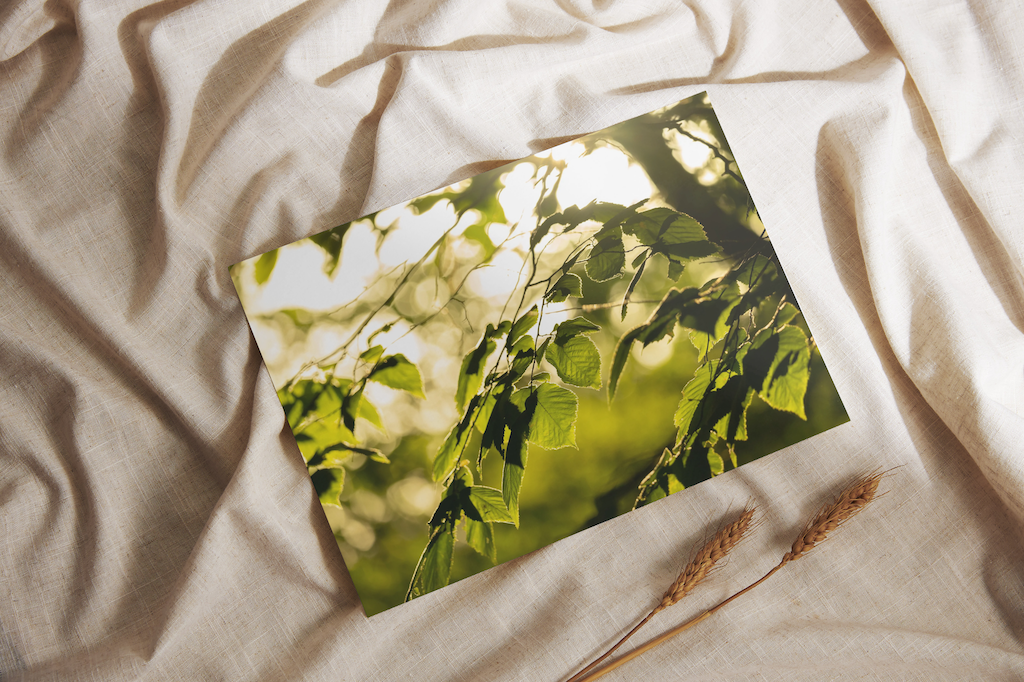 Leaves awash.png
