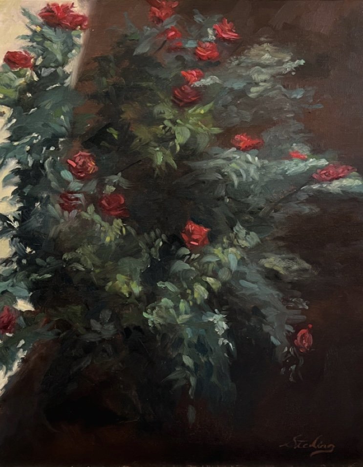 Rosebush in a Corner, 2023, Oil on panel , 22.86 x 30.48 cm, 9 x 12 in