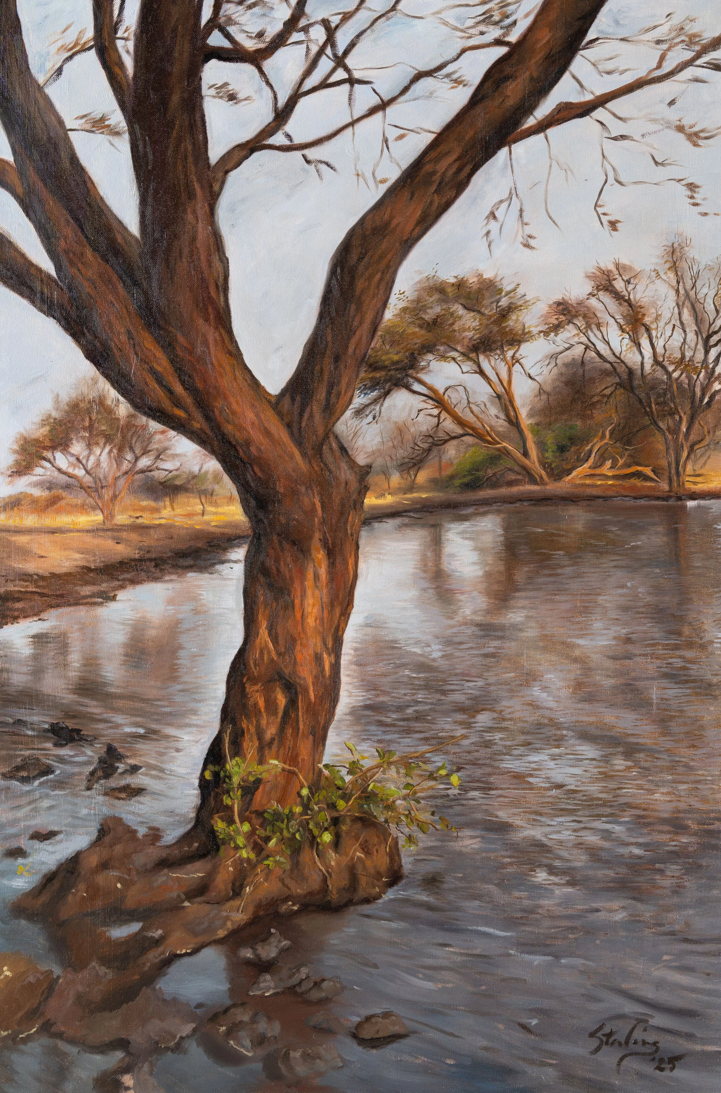 Golden Hour, 2025, Oil on linen, 60.96 x 91.44 cm, 24 x 36 in, Available through Gallery (stallthreestudio.com)