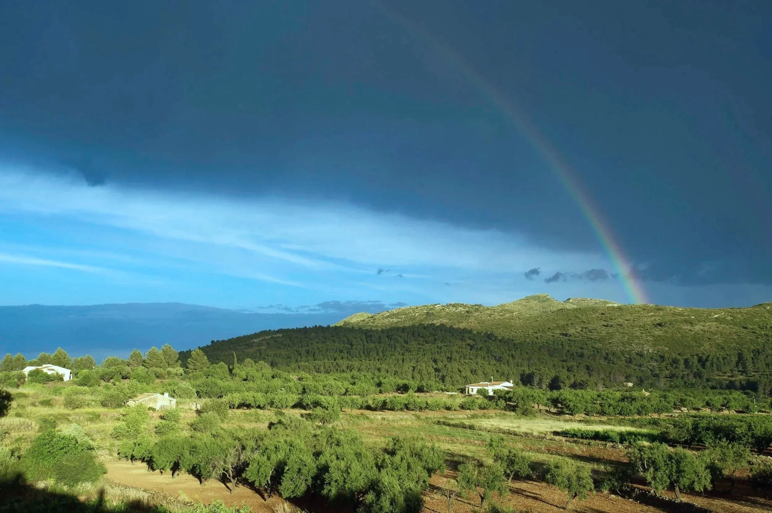 Rainbow-Large.jpg