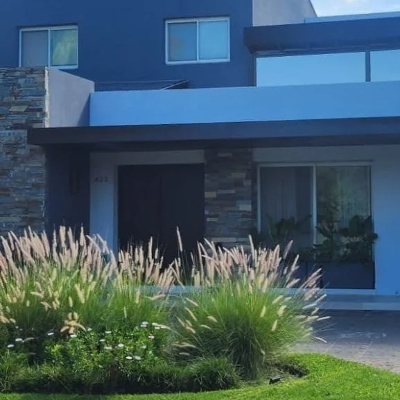 WhatsApp Image 2025-06-30 at 16.49.10.jpg