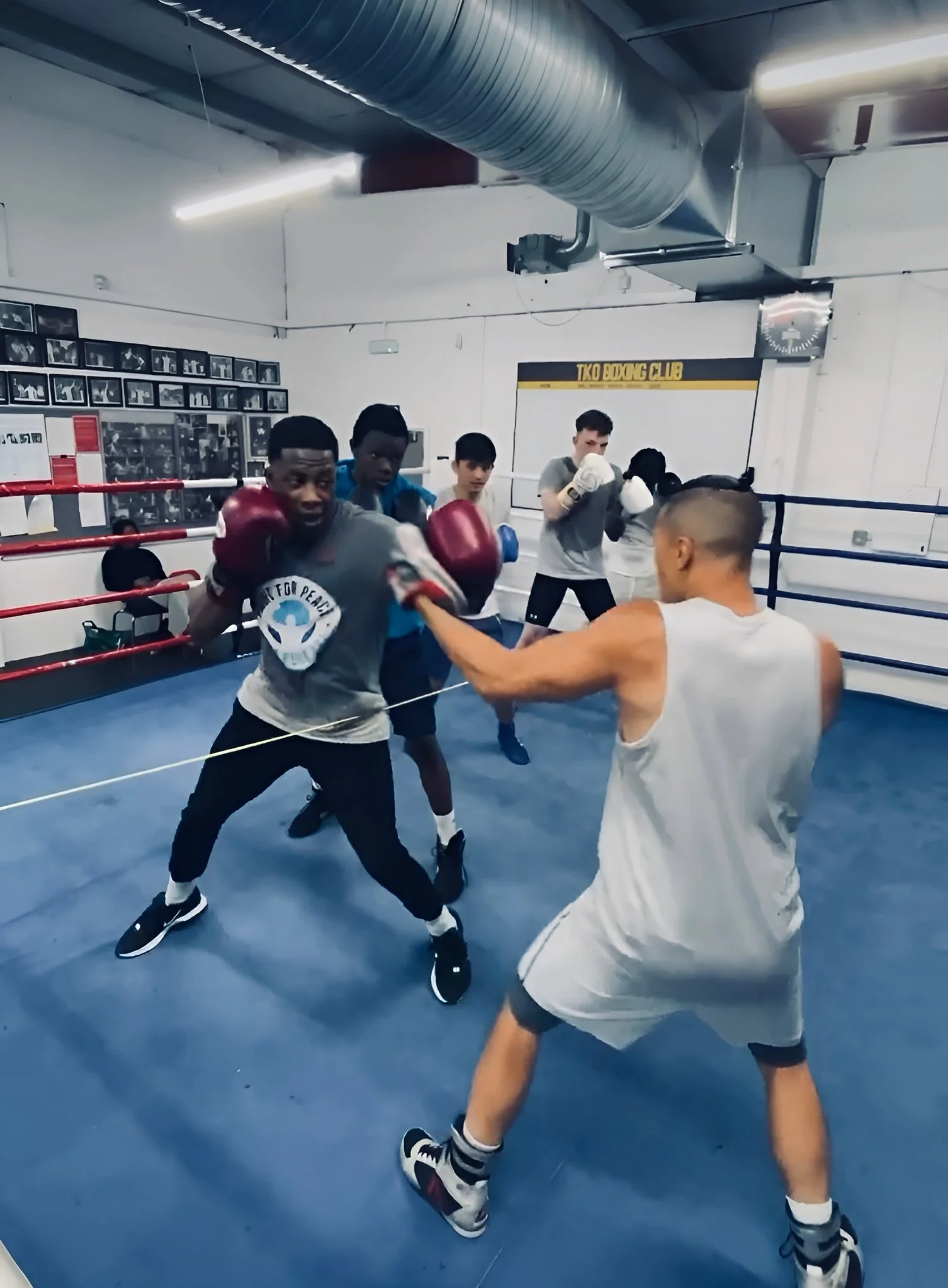 Services | Personalised Boxing Sessions with Steve Iron — Steve Iron Boxing